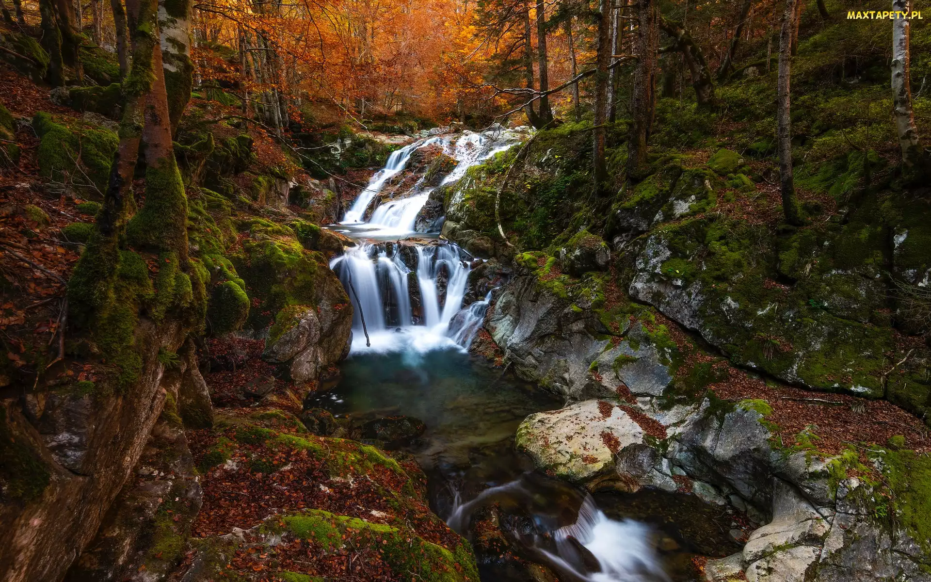 Las, Kamienie, Francja, Skały, Dolina, Rzeka Gave de Bious, Valle de Ossau, Jesień