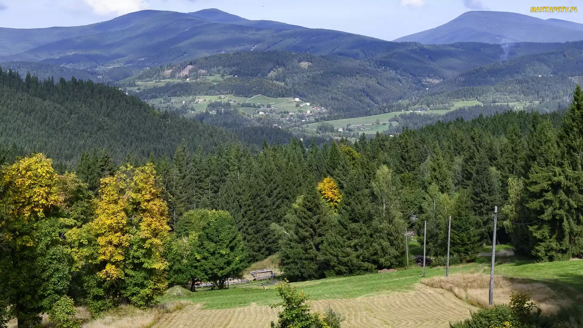 Beskidy, Domy, Osada, Drzewa, Góry