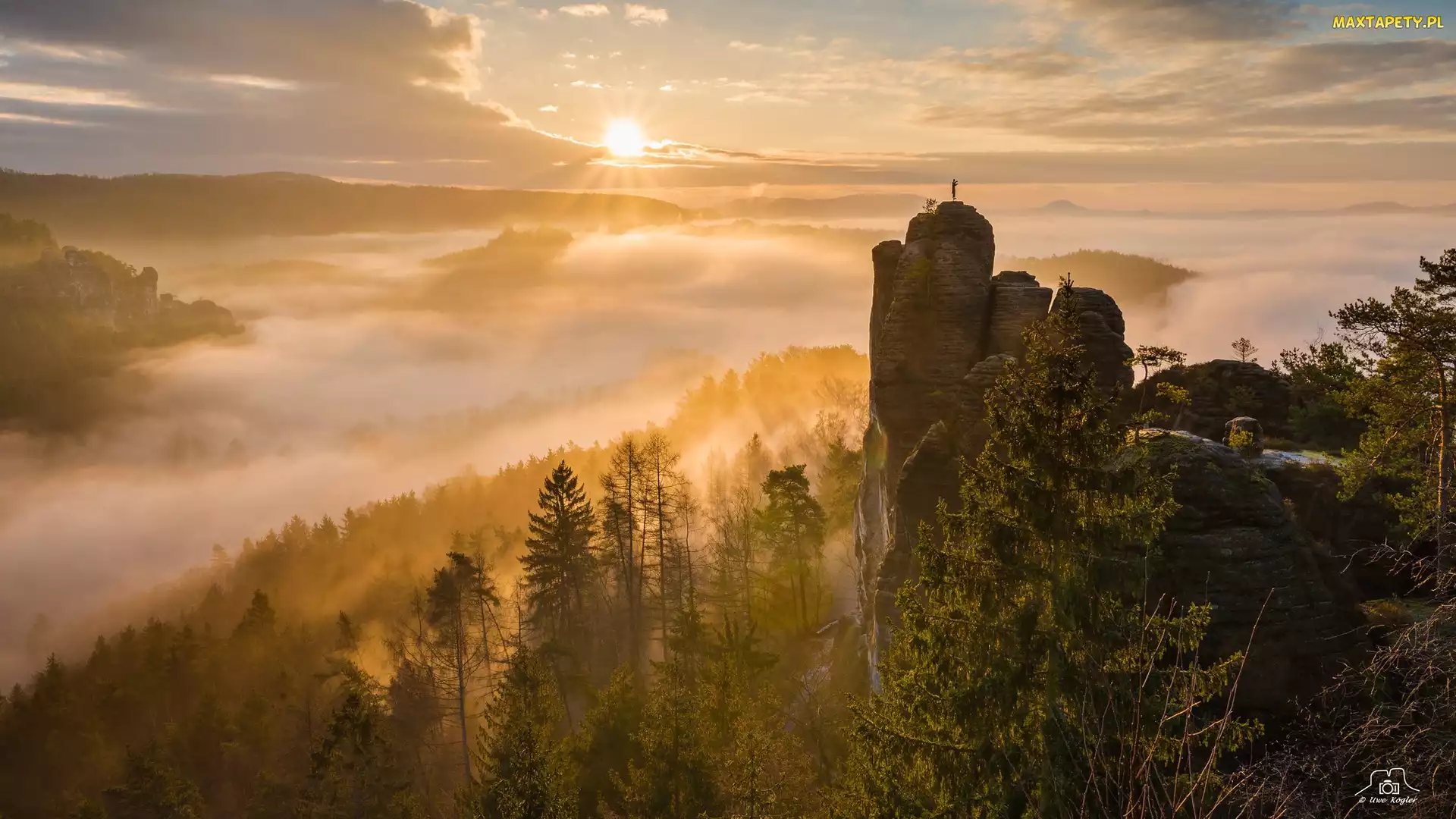 Mgła, Góry Połabskie, Park Narodowy Saskiej Szwajcarii, Drzewa, Skały, Niemcy, Wschód słońca