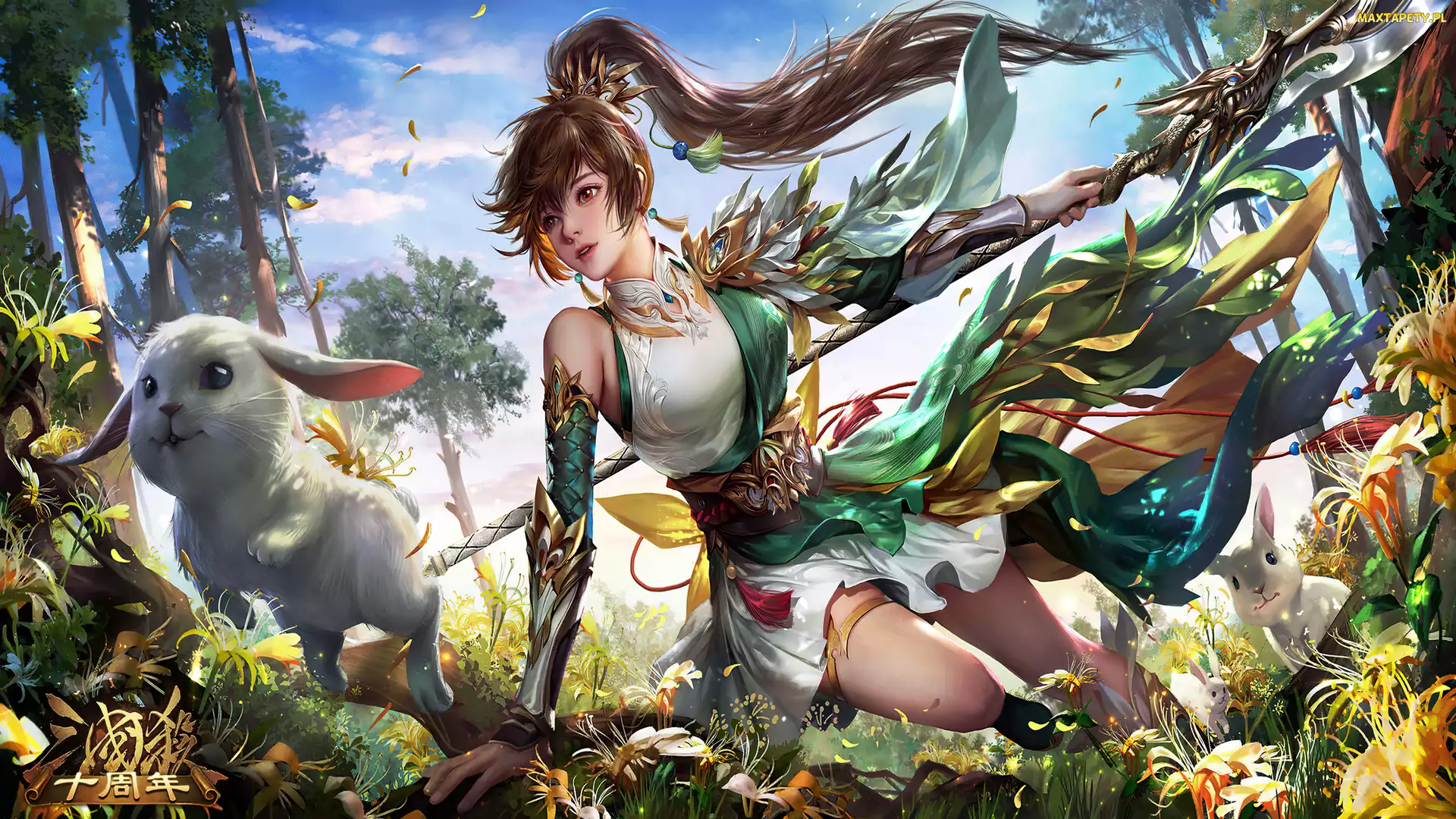 Dynasty Warriors, Włócznia, Guan Yinping, Wojowniczka, Gra