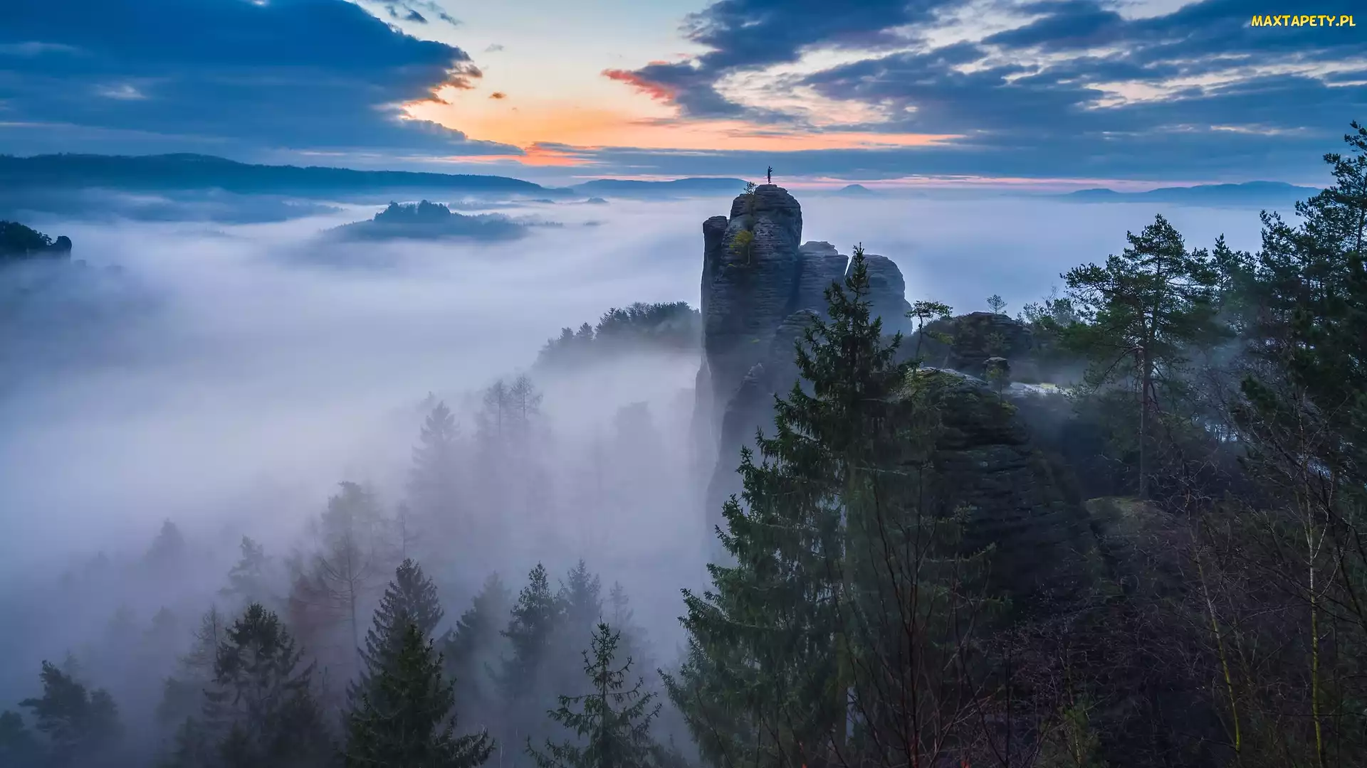 Mgła, Skały, Park Narodowy Saskiej Szwajcarii, Drzewa, Góry Połabskie, Niemcy, Wschód słońca