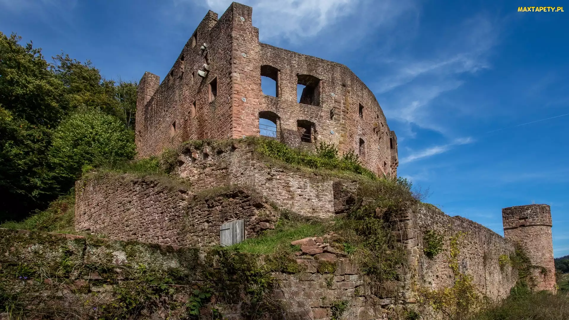 Niemcy, Oberzent, Burg Freienstein, Ruiny, Krzewy, Trawa