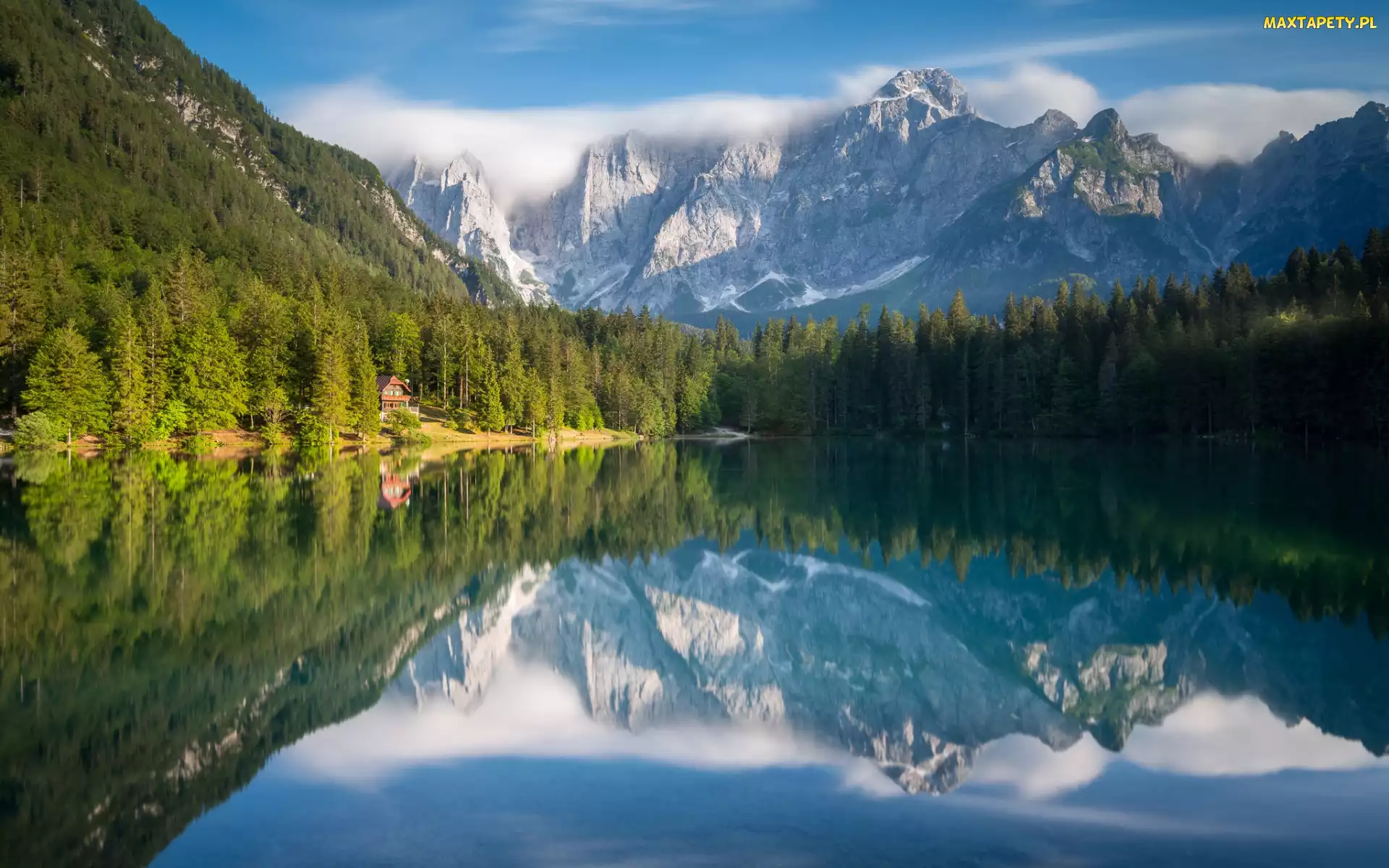 Drzewa, Jezioro, Las, Alpy Julijskie, Odbicie, Góry, Włochy, Lake Fusine
