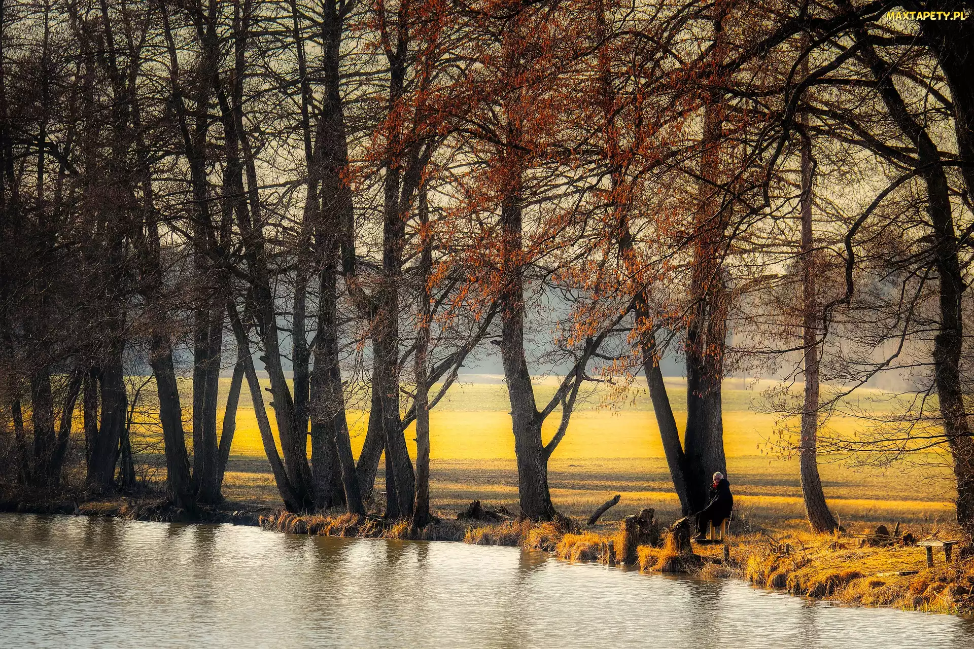 Pole, Rzeka, Jesień, Drzewa