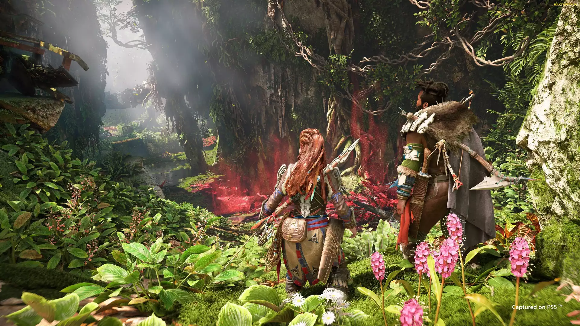 Dżungla, Mężczyzna, Horizon Forbidden West, Gra, Postacie, Aloy