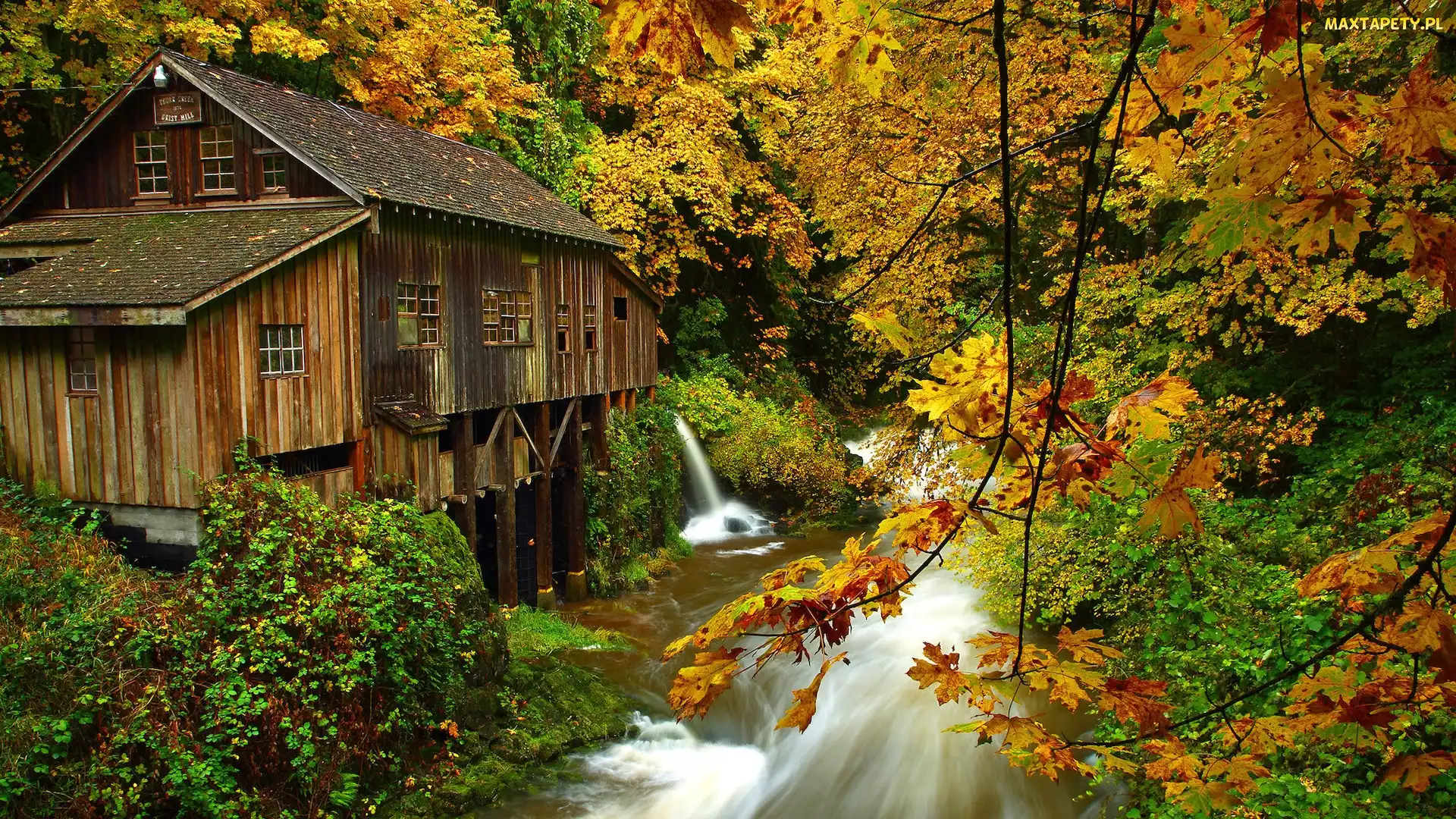 Jesień, Stan Waszyngton, Las, Stany Zjednoczone, Woodland, Drzewa, Młyn, Cedar Creek Grist Mill, Rzeka