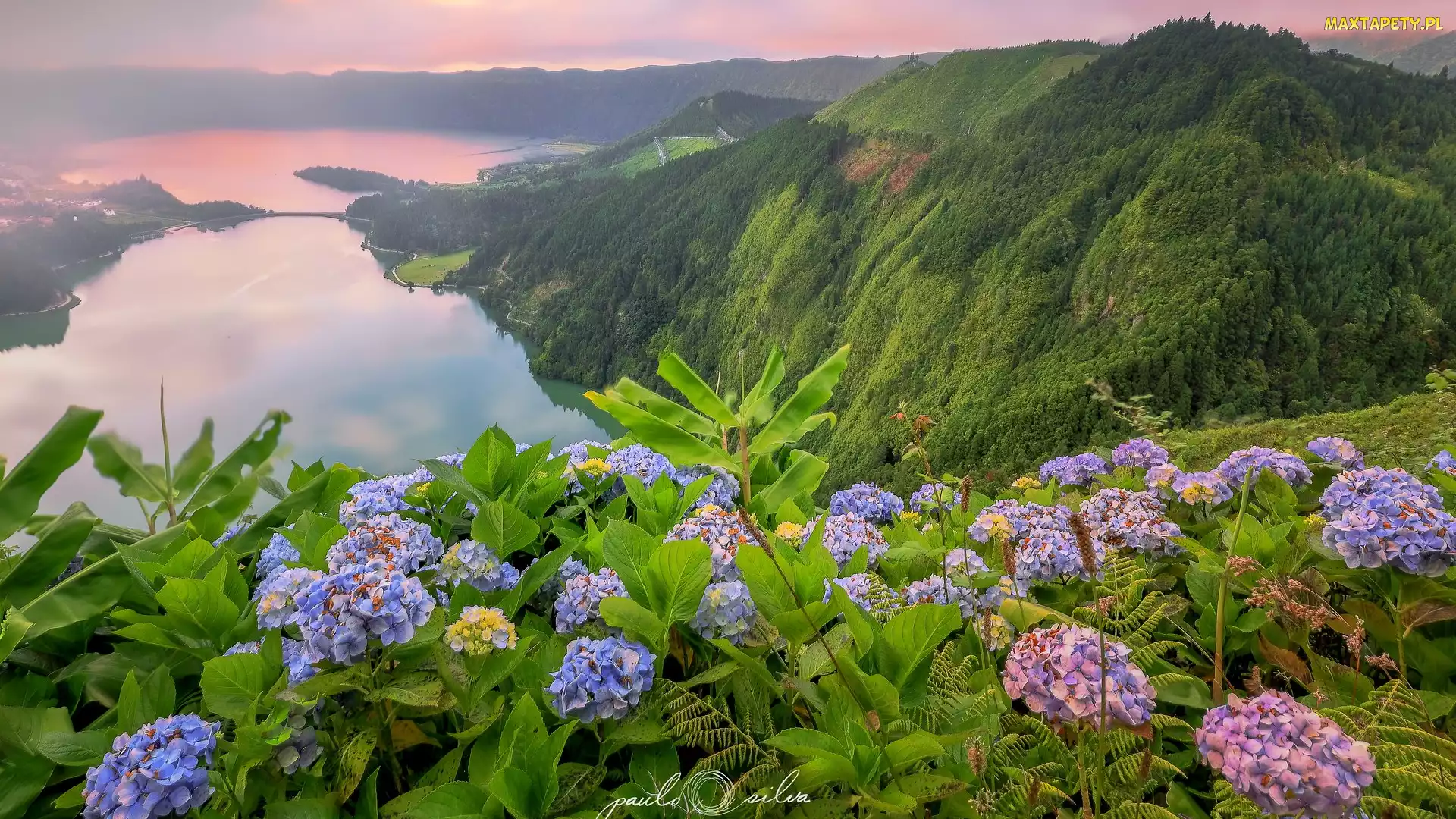 Lasy, Sete Cidades, Niebieskie, Jezioro Verde, Wyspa Sao Miguel, Portugalia, Różowe, Azory, Góry, Hortensje, Jezioro Azul