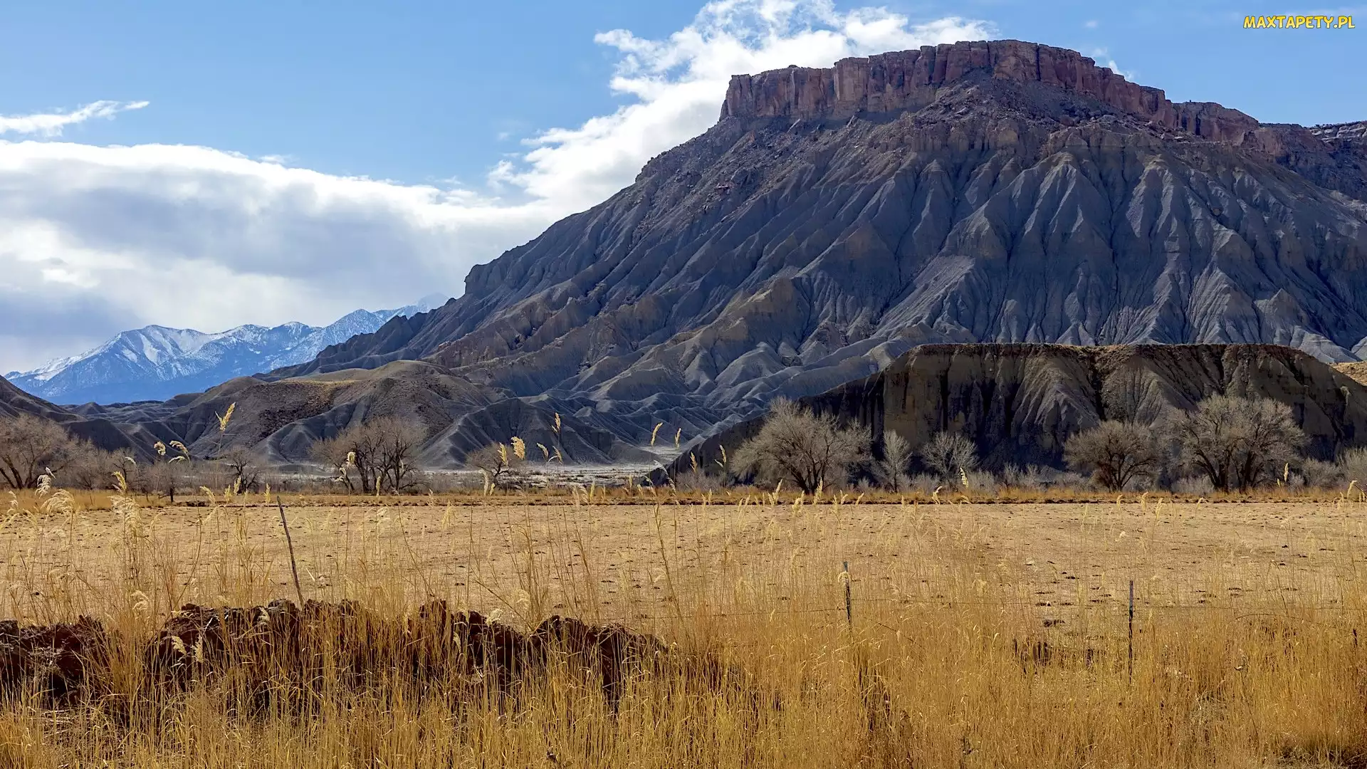 Stany Zjednoczone, Utah, Sucha, Góry, Trawa, Caineville Mesa