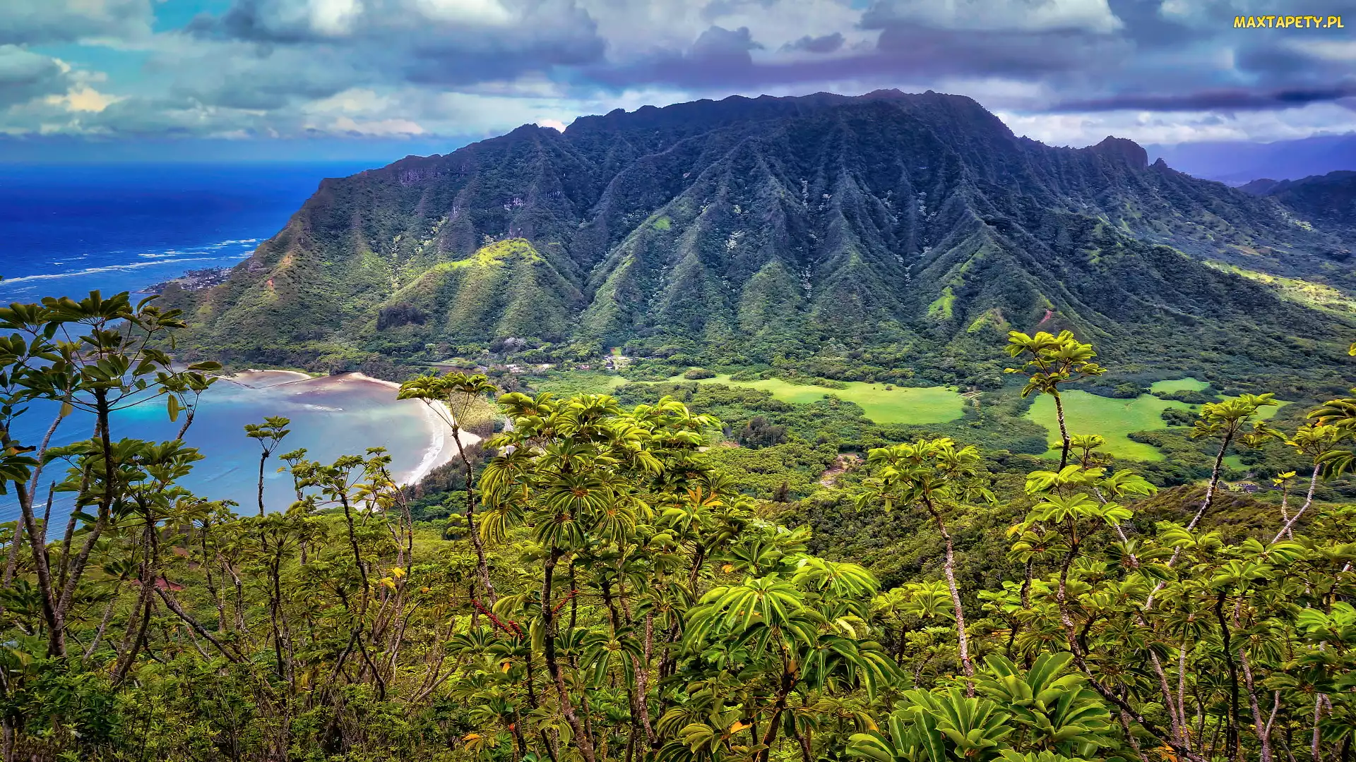 Hawaje, Koolauloa, Kahana Valley, Stany Zjednoczone, Roślinność, Dolina, Góry