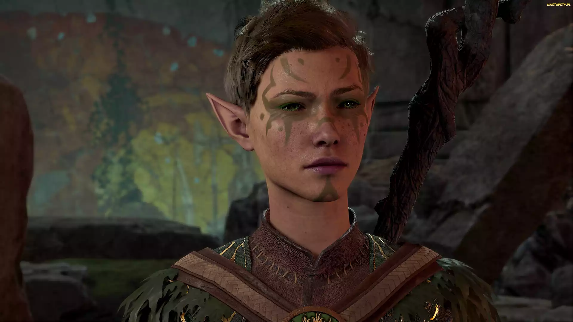 Baldurs Gate 3, Gra, Postać, Elf