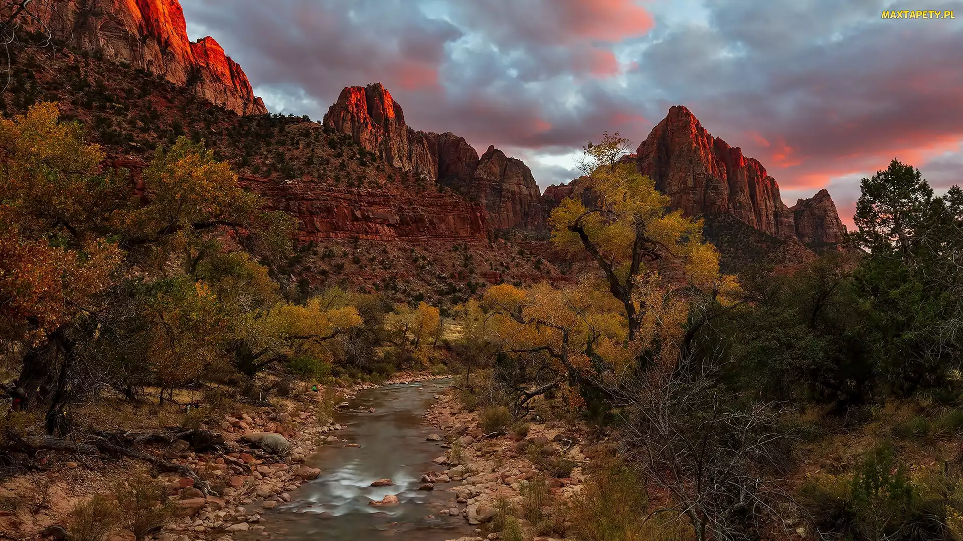 Stany Zjednoczone, Park Narodowy Zion, Drzewa, Utah, Szczyty, Czerwone, Rzeka, Virgin River, Góry, Kamienie
