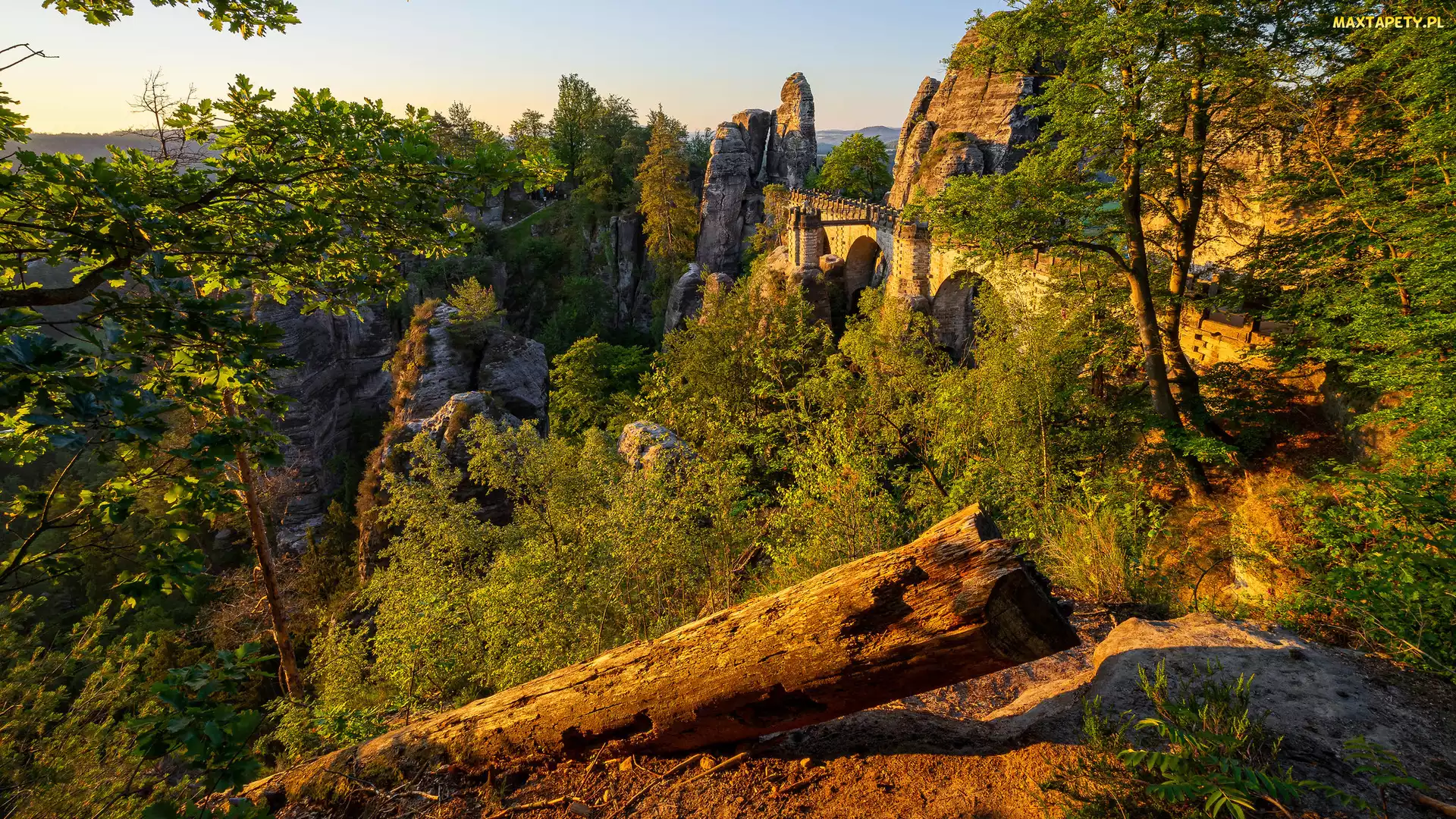 Skały, Powalone, Formacja Bastei, Drzewa, Park Narodowy Saskiej Szwajcarii, Most, Niemcy, Drzewo
