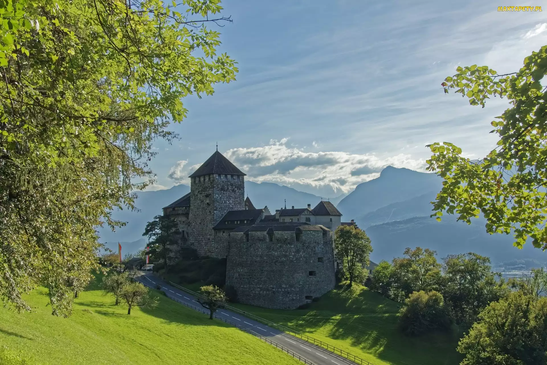 Drzewa, Droga, Liechtenstein, Góry, Zamek w Vaduz, Księstwo, Vaduz