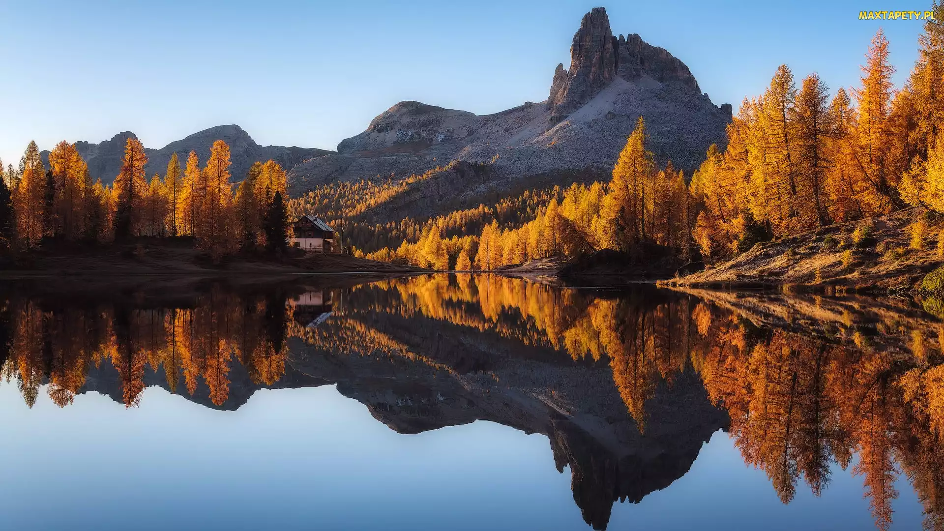 Włochy, Drzewa, Pożółkłe, Cortina dAmpezzo, Dolomity, Góry, Jezioro, Lago Federa, Jesień, Las