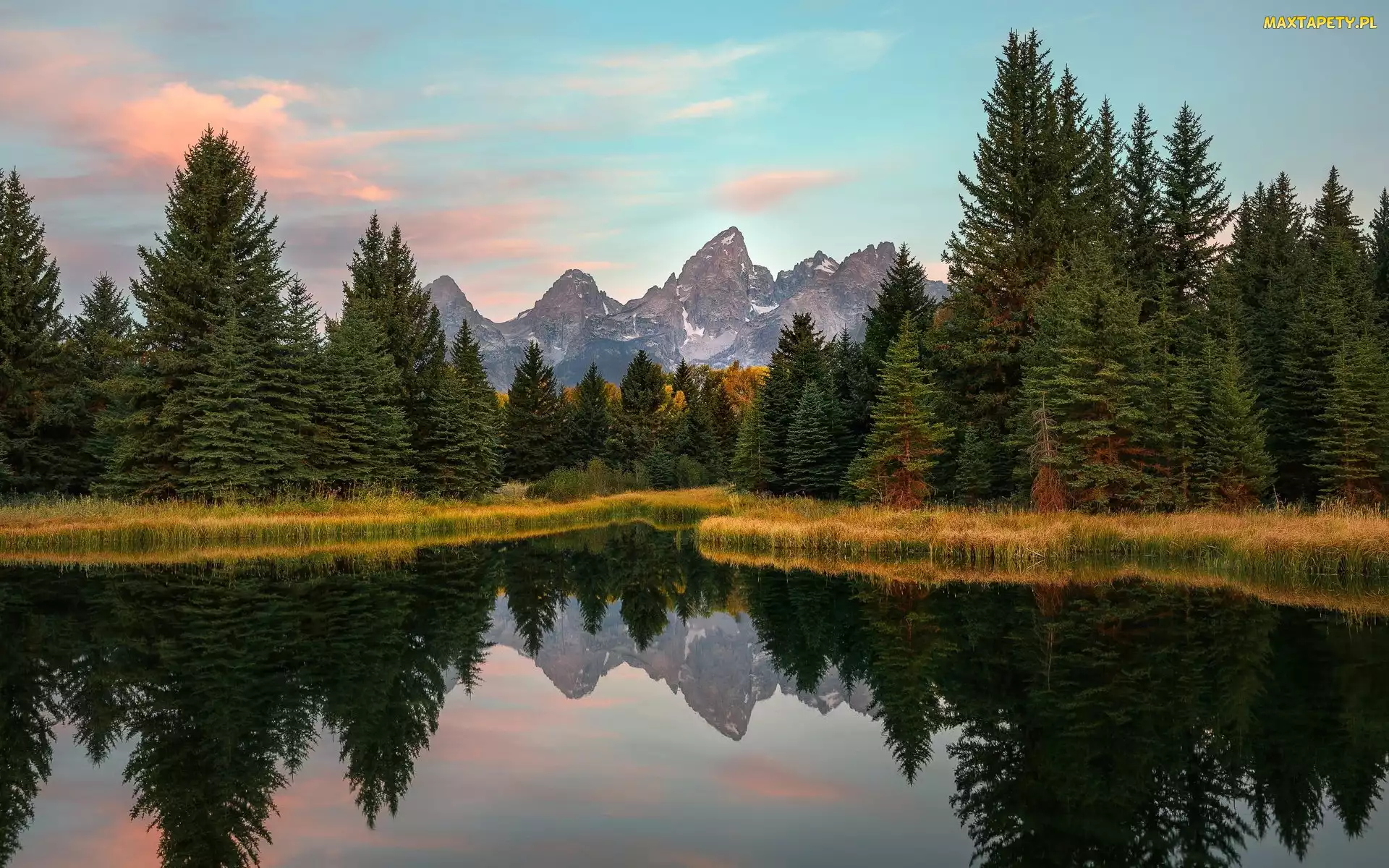 Rzeka Snake River, Drzewa, Park Narodowy Grand Teton, Las, Stan Wyoming, Góry Teton Range, Stany Zjednoczone, Odbicie