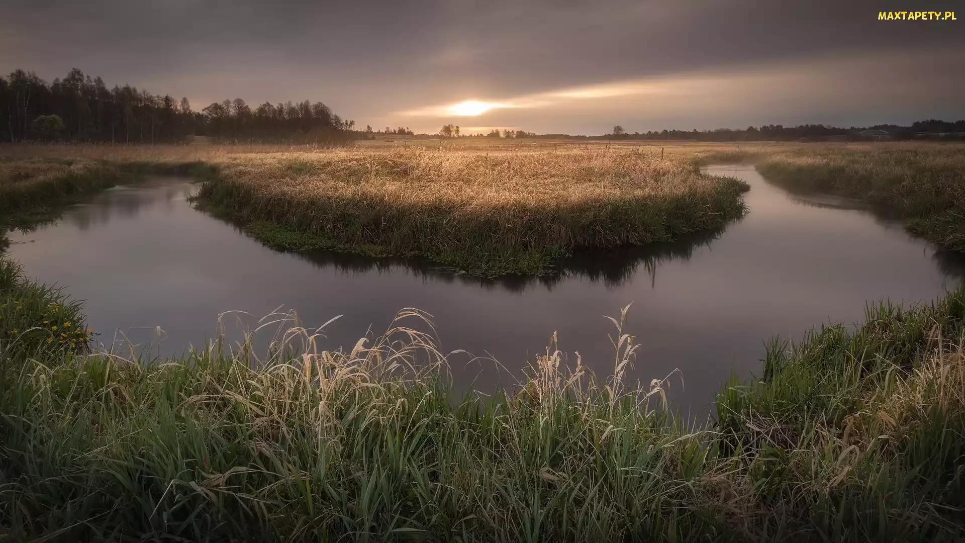 Nizina Podlaska, Trawy, Polska, Rzeka, Wschód słońca, Podlasie, Mgła, Łąka