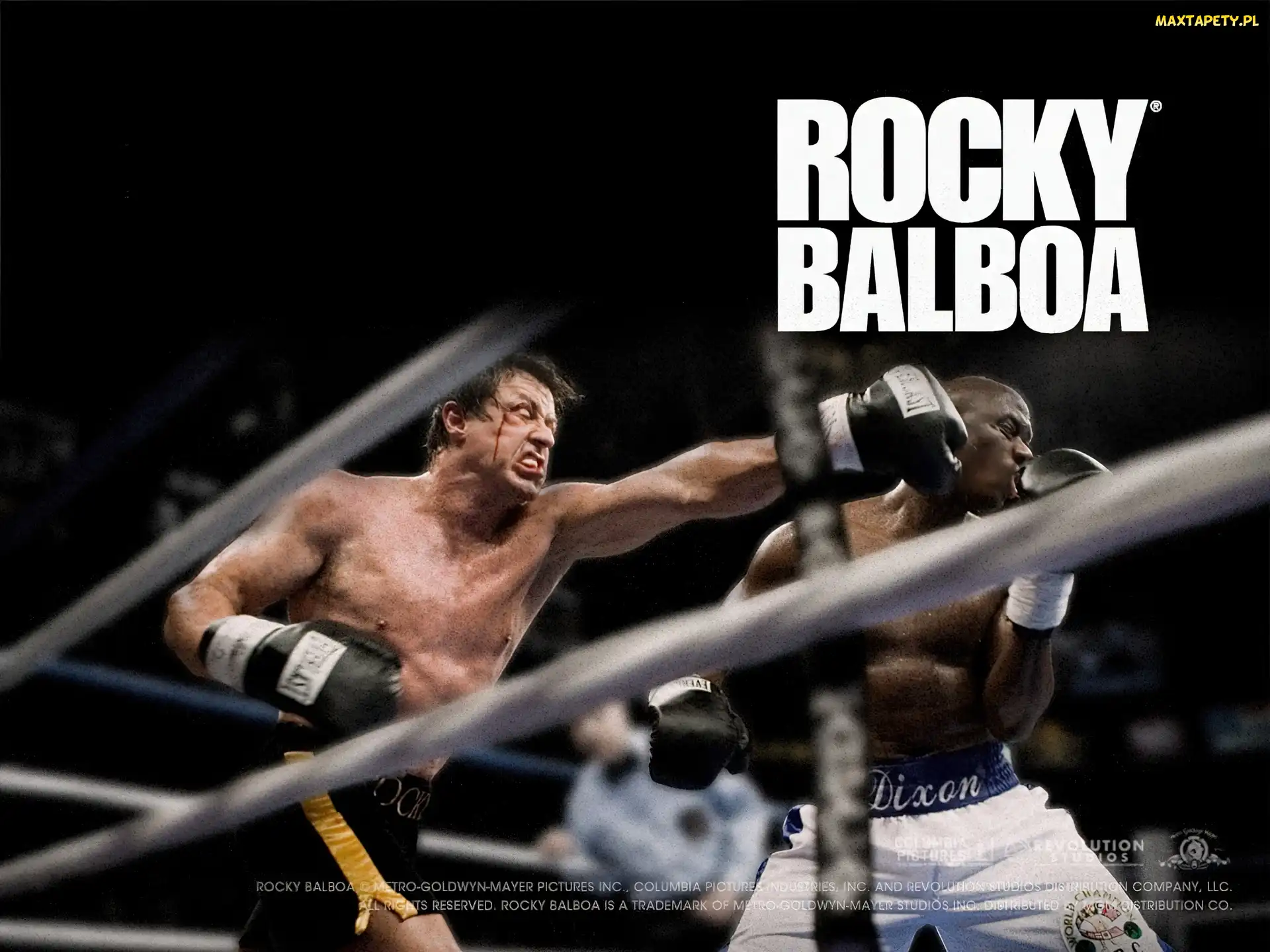 Sylvester Stallone, Rocky Balboa, ring, boks