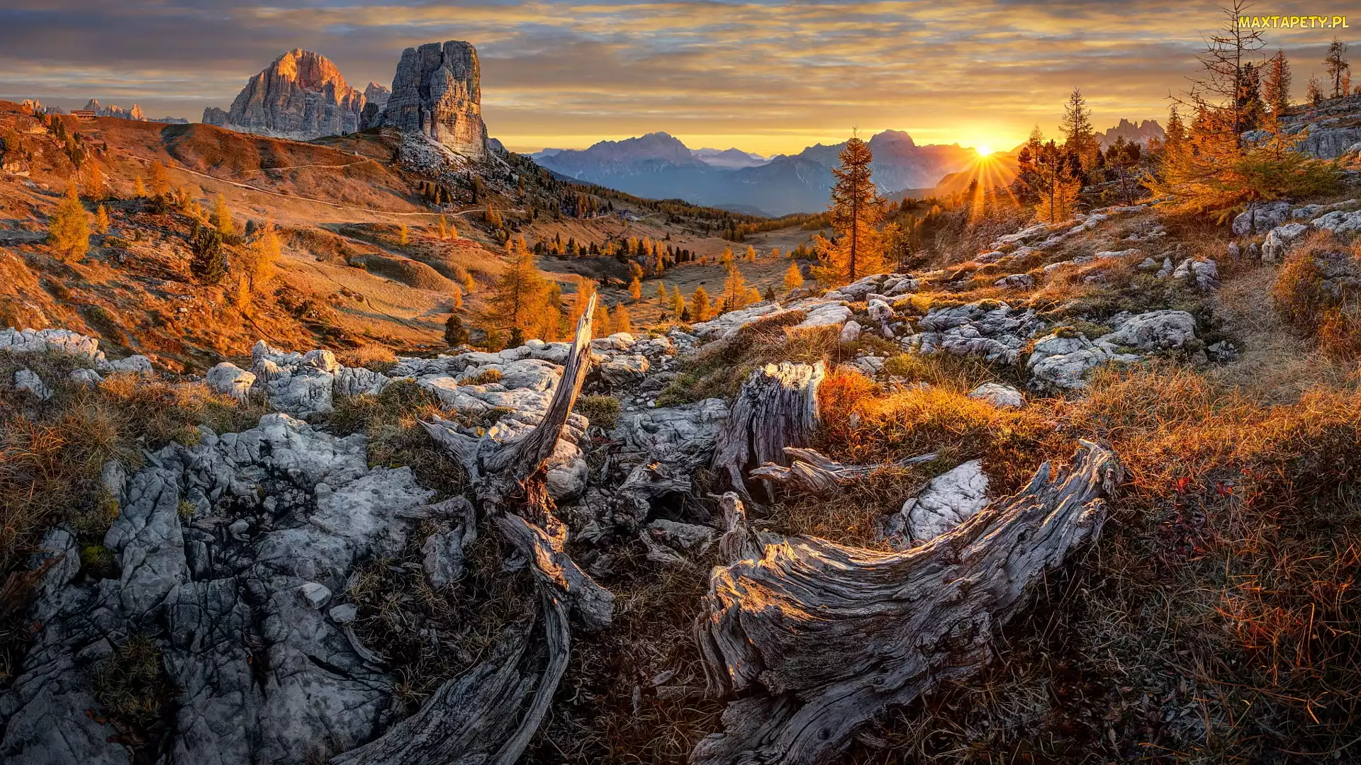 Dolomity, Gmina Veneto, Włochy, Góry, Jesień, Cinque Torri, Torre Grande, Gmina Veneto, Skały, Drzewa, Szczyt, Trawa