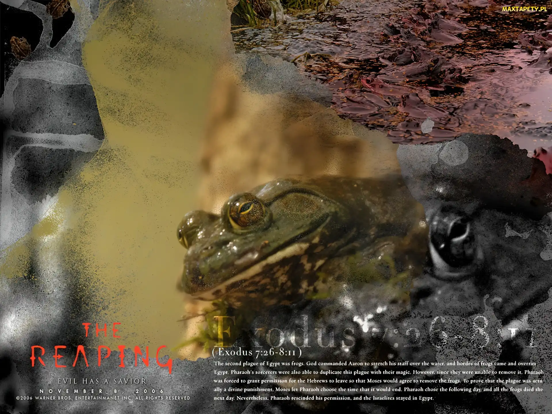 Reaping, żaby, woda, plaga
