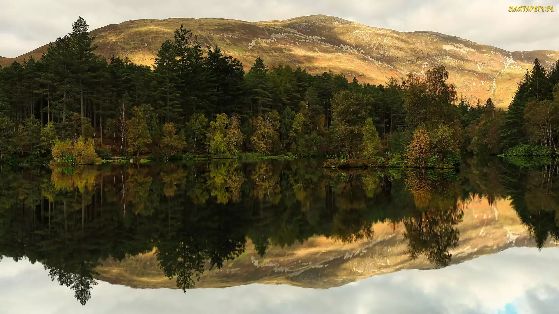 Jezioro, Odbicie, Góry, Drzewa, Glencoe Lochan, Loch Leven, Szkocja, Lasy