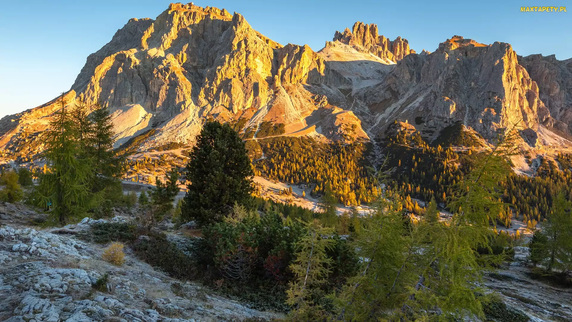 Włochy, Drzewa, Góry, Dolomity