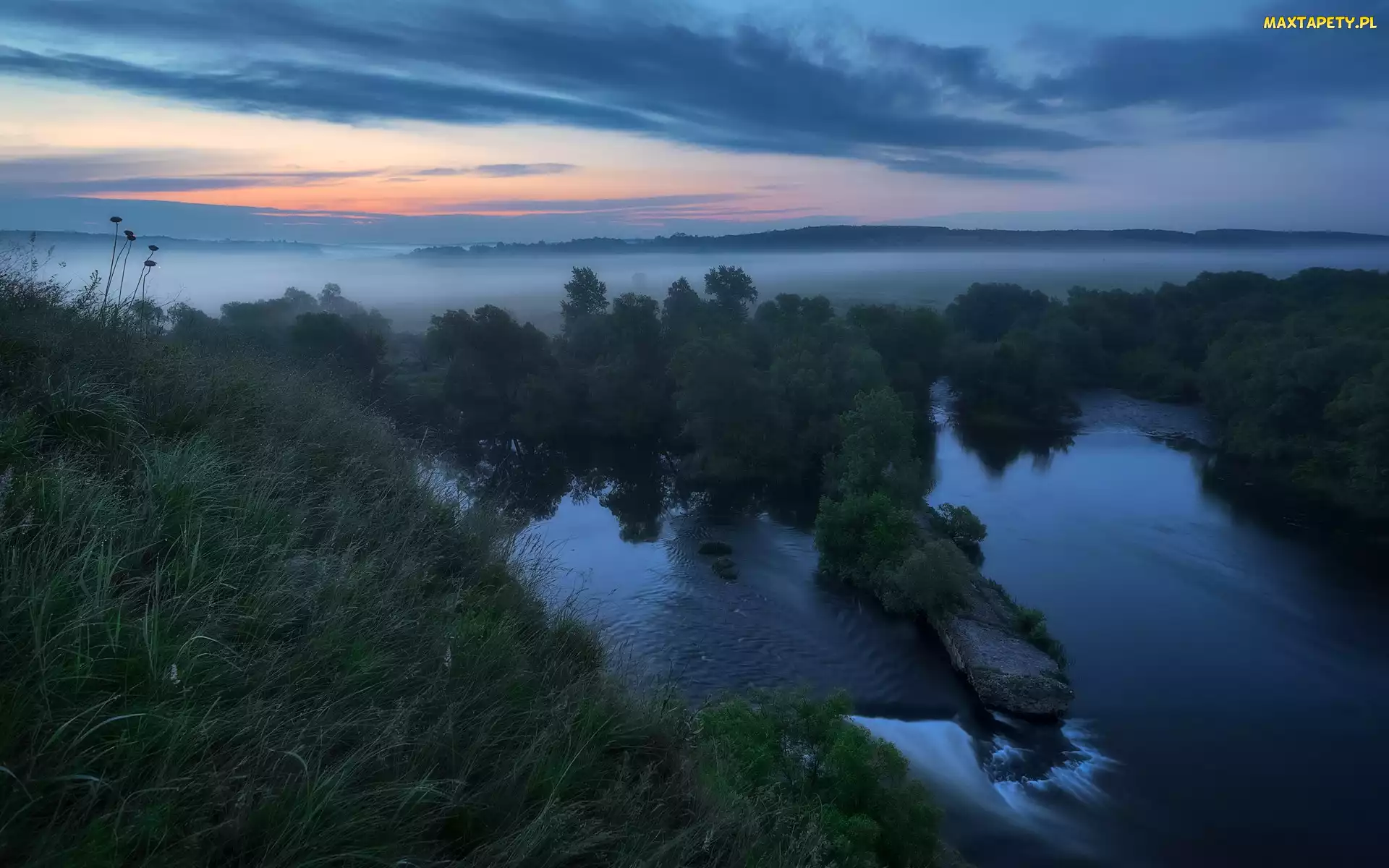 Drzewa, Trawa, Mgła, Rzeka