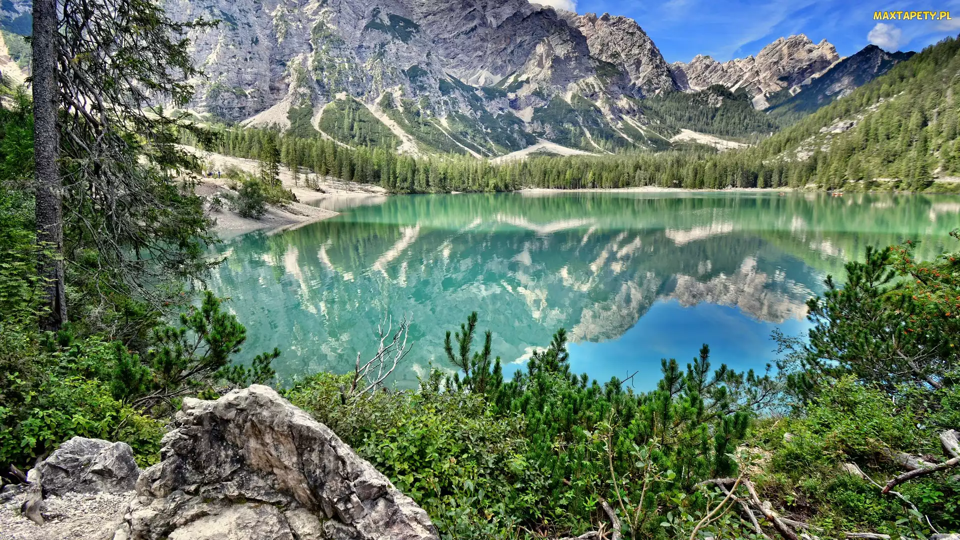 Włochy, Drzewa, Jezioro, Góry, Lago di Braies, Pragser Wildsee