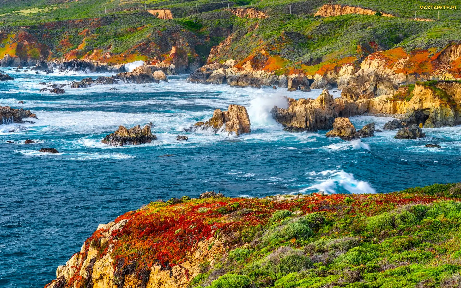 Stany Zjednoczone, Fale, Wybrzeże, Rośliny, Big Sur, Skały, Stan Kalifornia, Park stanowy Garrapata, Morze