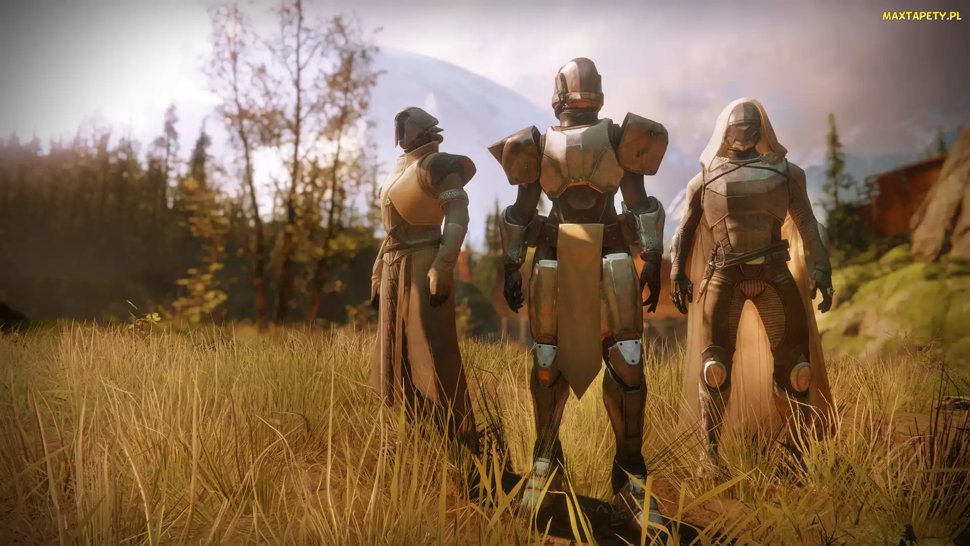 Destiny 2, Trawa, Łąka, Postacie, Gra