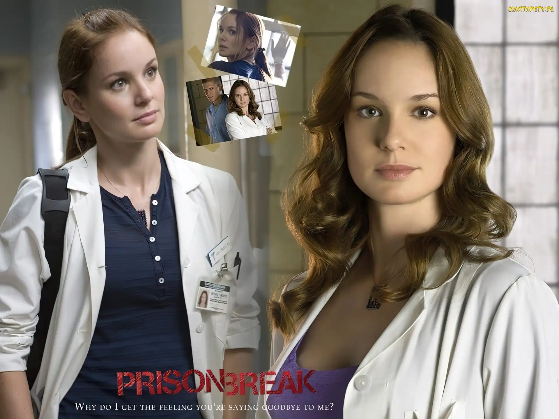 Skazany na śmierć, okno, fartuch, Sarah Wayne Callies, Prison Break