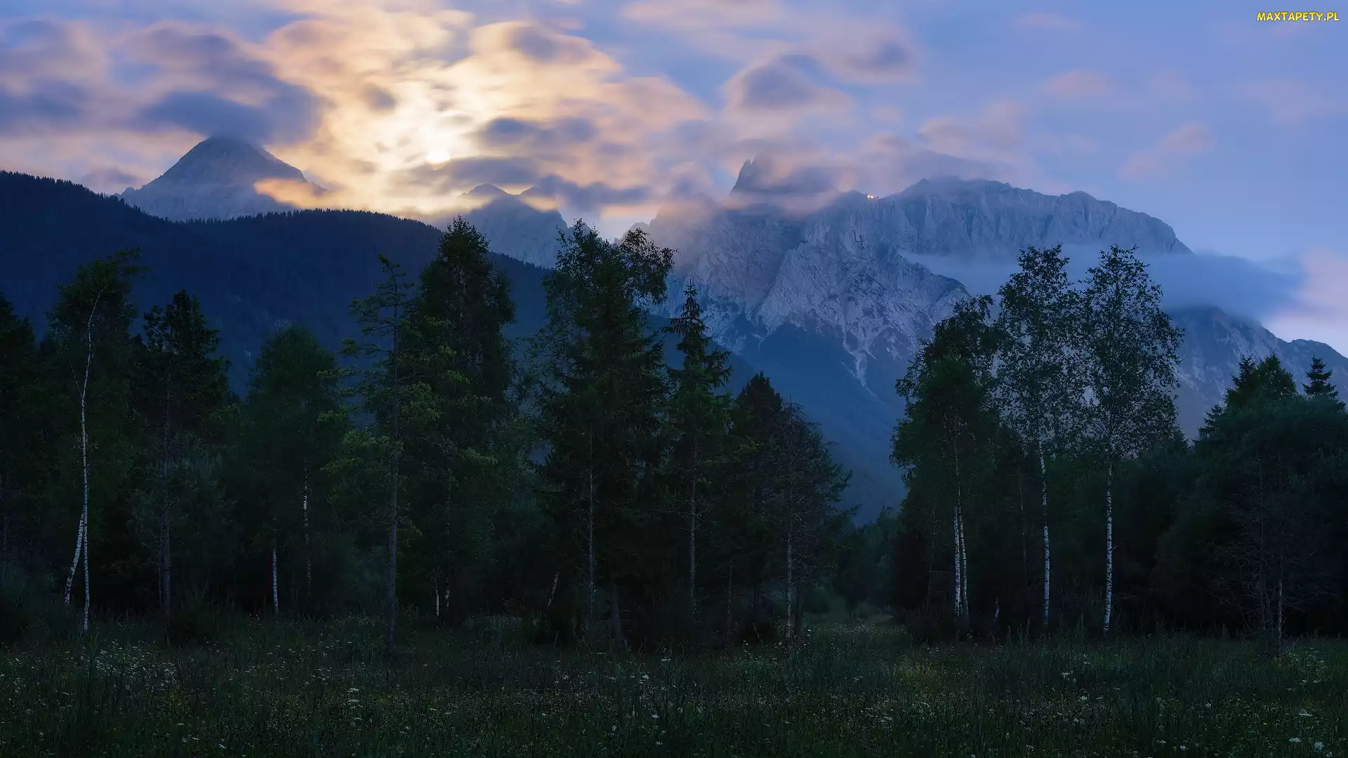 Drzewa, Karwendel, Pasmo górskie, Rośliny, Góry