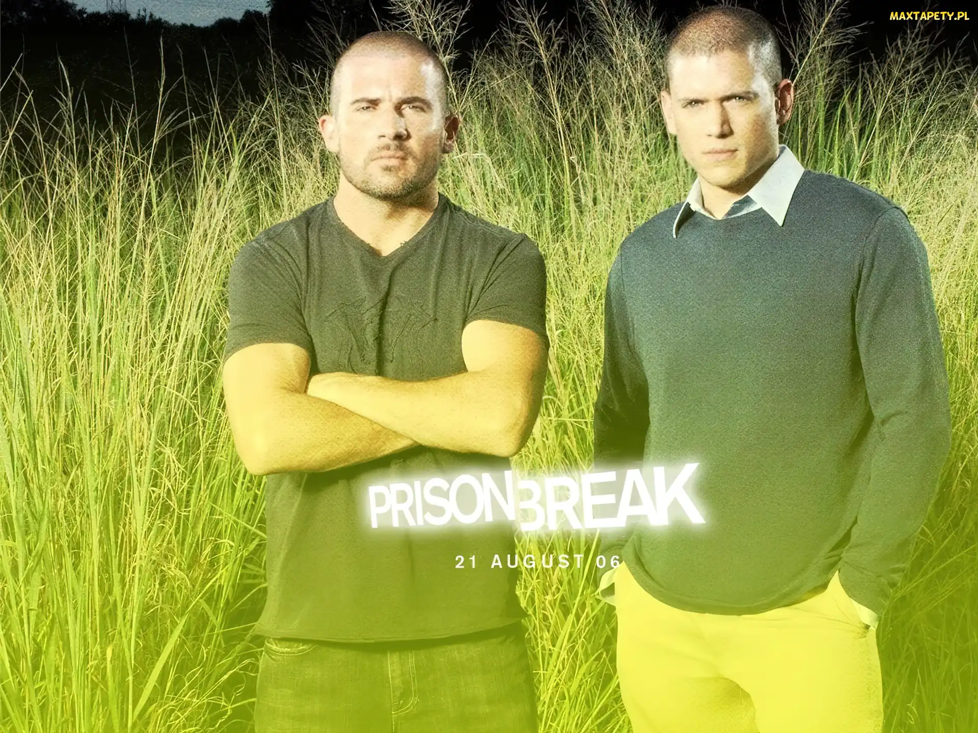 Skazany na śmierć, trawa, Dominic Purcell, Wentworth Miller, Prison Break