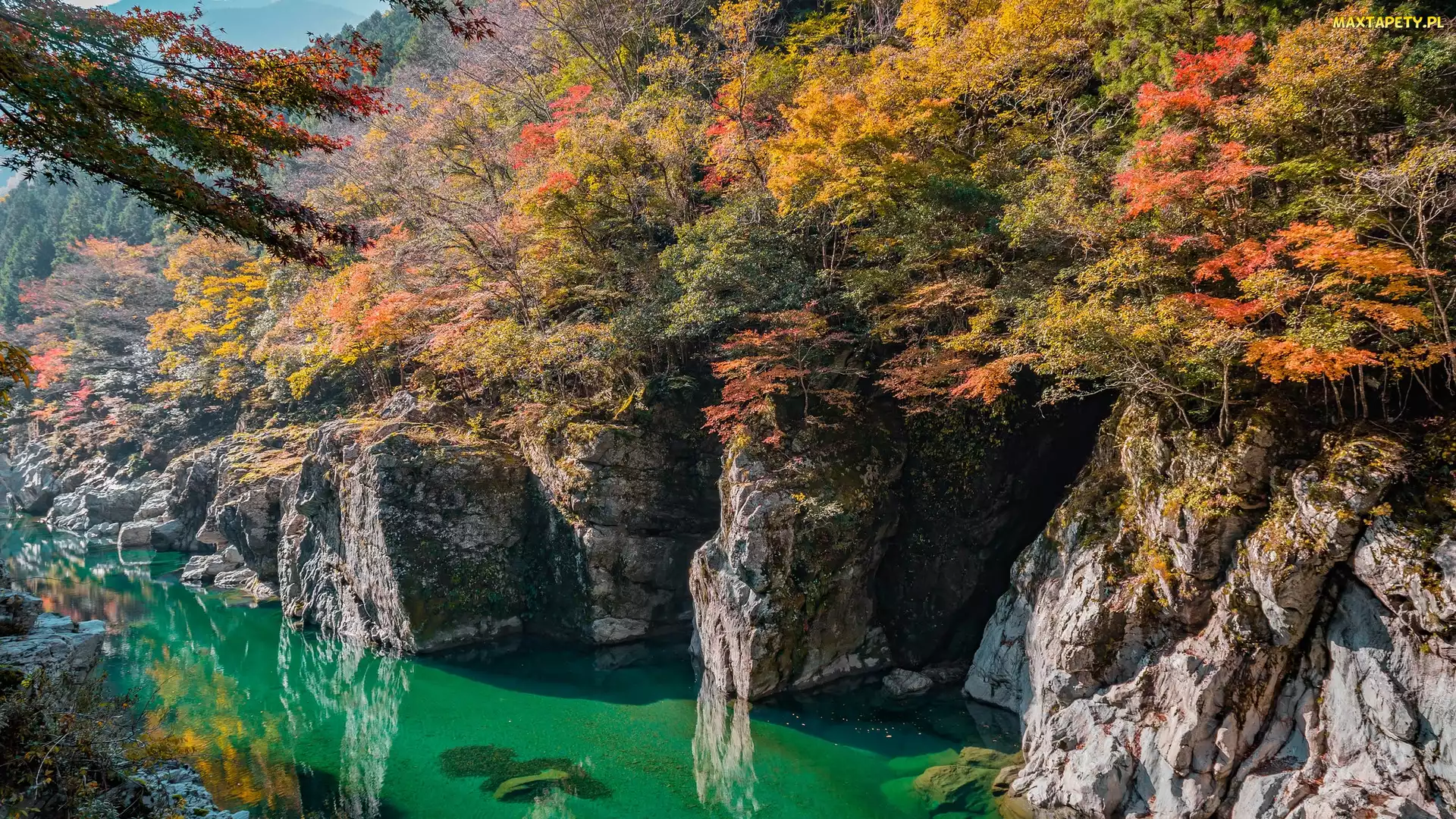 Japonia, Prefektura Tokushima, Iya Valley, Wyspa Sikoku, Rzeka Iya, Skały, Kolorowe, Drzewa, Jesień, Dolina