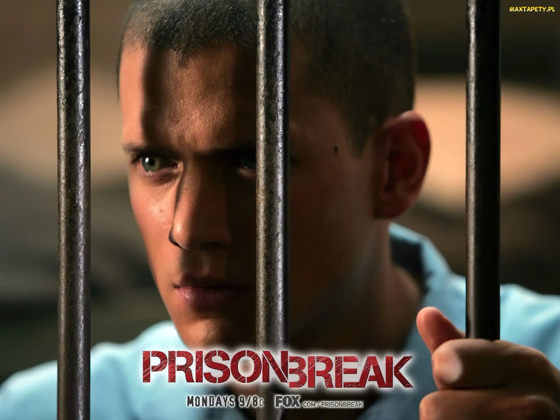 kraty, Wentworth Miller, Prison Break, Skazany na śmierć