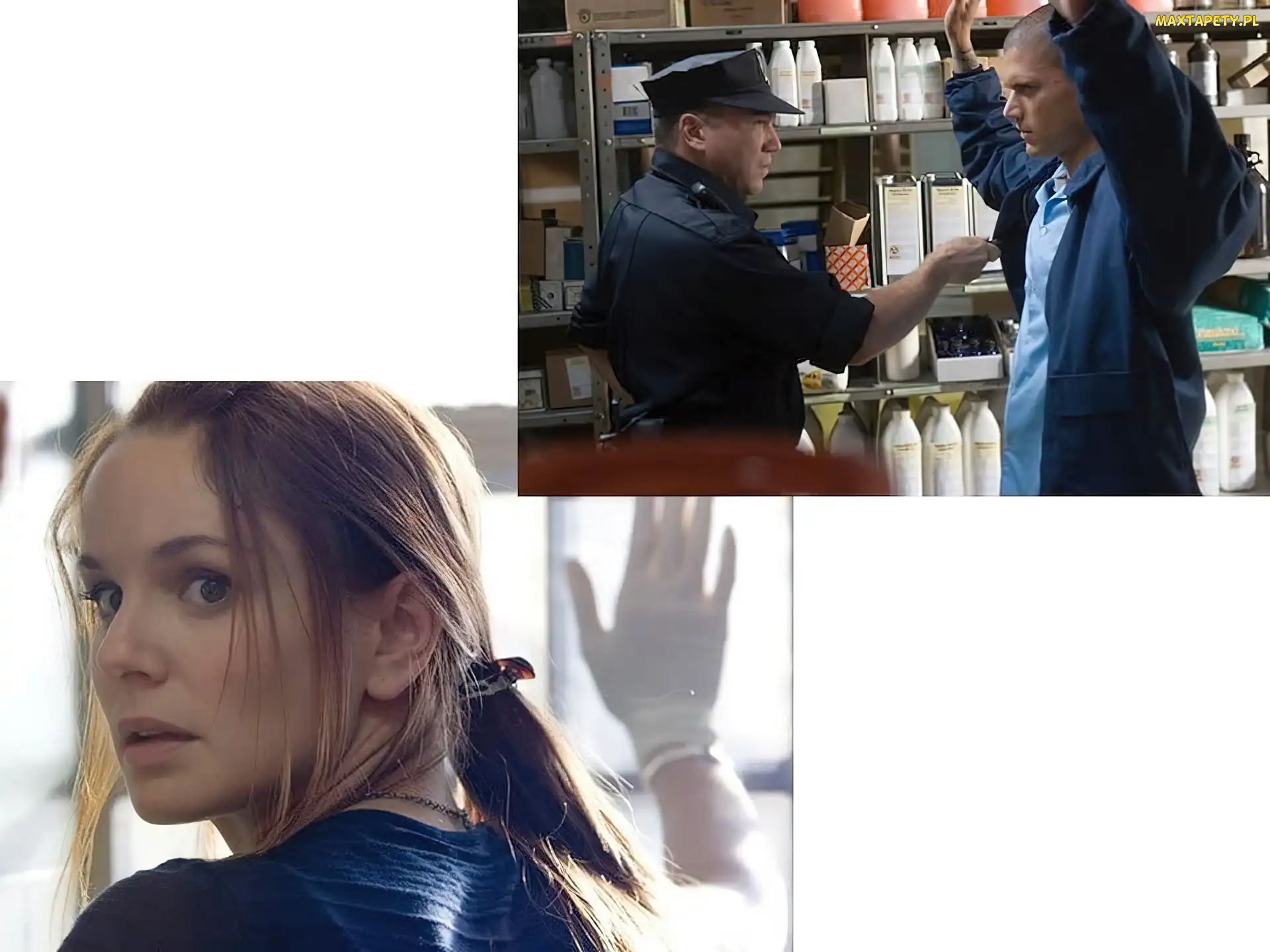 Skazany na śmierć, Wentworth Miller, Wade Williams, Sarah Wayne Callies, Prison Break