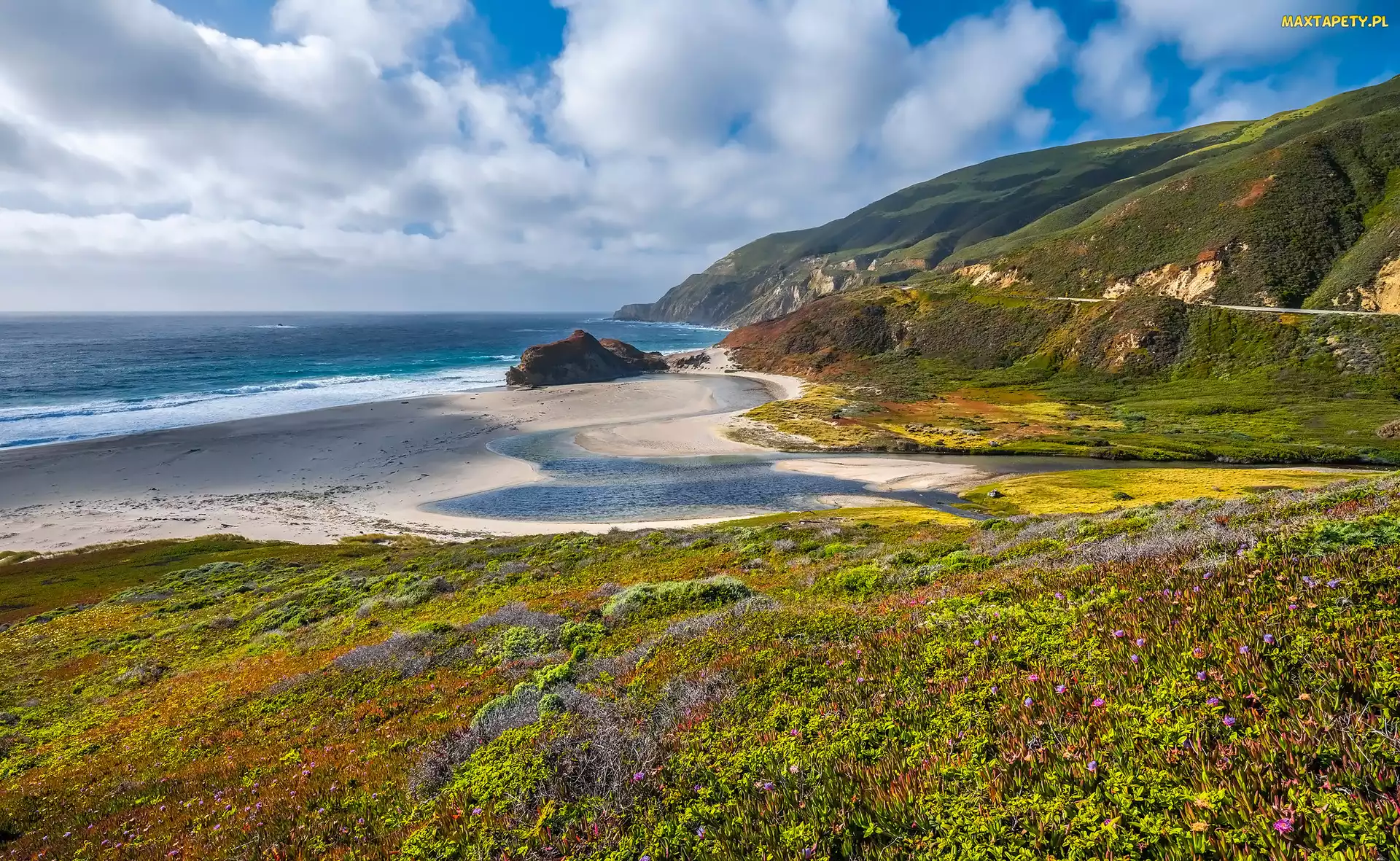 Góry, Wybrzeże, Morze, Plaża, Kalifornia, Kwiaty, Stany Zjednoczone, Big Sur
