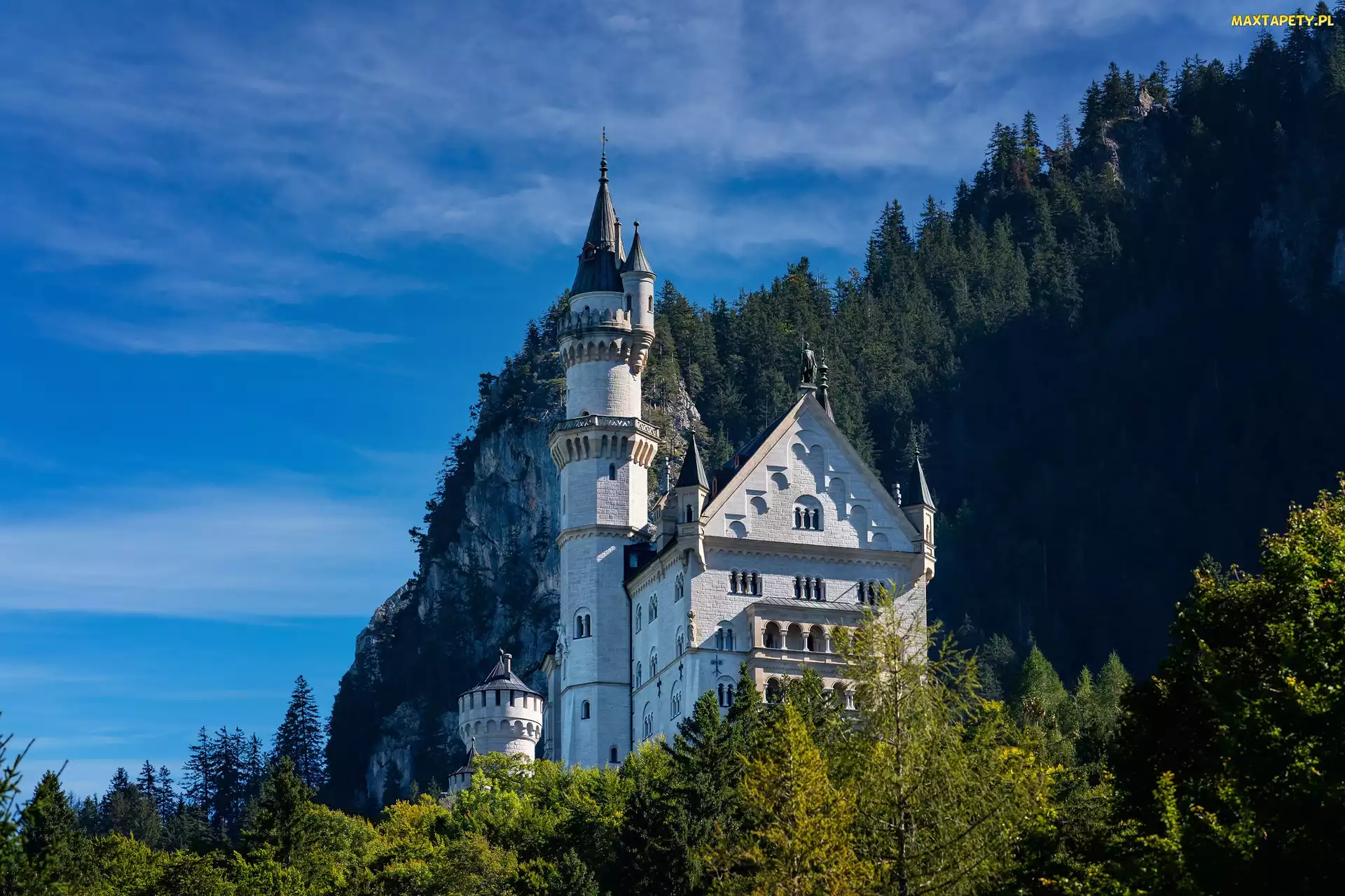 Zamek Neuschwanstein, Niemcy, Bawaria, Gmina Schwangau, Drzewa