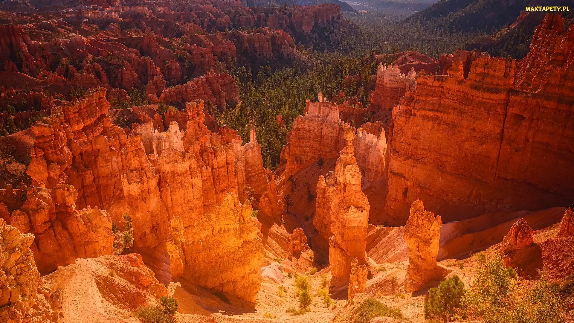Park Narodowy Bryce Canyon, Stany Zjednoczone, Utah, Kanion, Skały