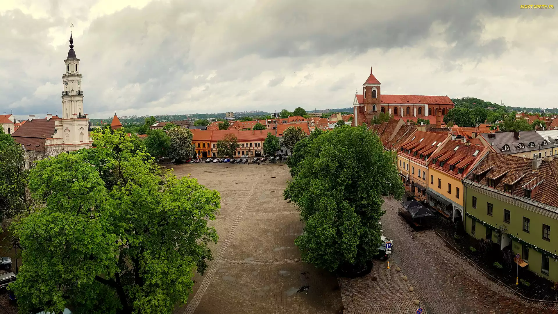 Litwa, Plac, Ratusz, Drzewa, Domy, Rynek, Miasto, Kowno, Stare Miasto