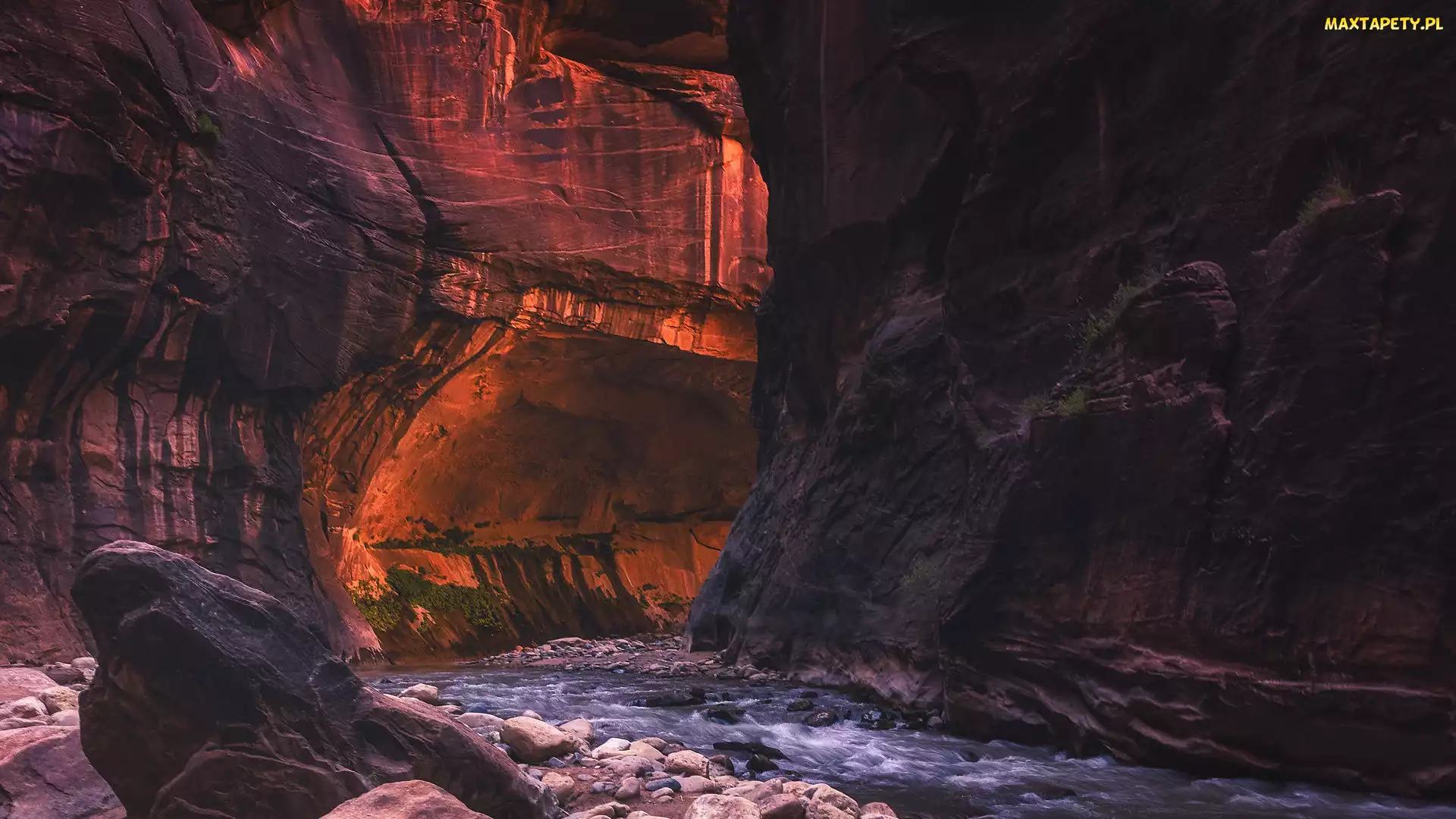 Virgin River, Zion Narrows, Rzeka, Kanion, Utah, Kamienie, Stany Zjednoczone, Park Narodowy Zion