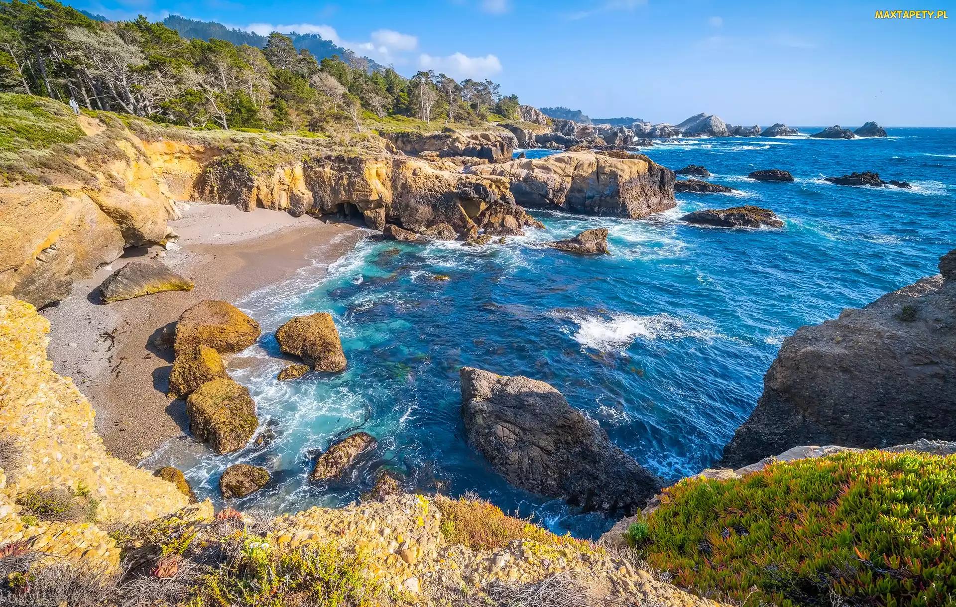 Morze, Rezerwat przyrody, Skały, Plaża, Kalifornia, Kamienie, Stany Zjednoczone, Point Lobos
