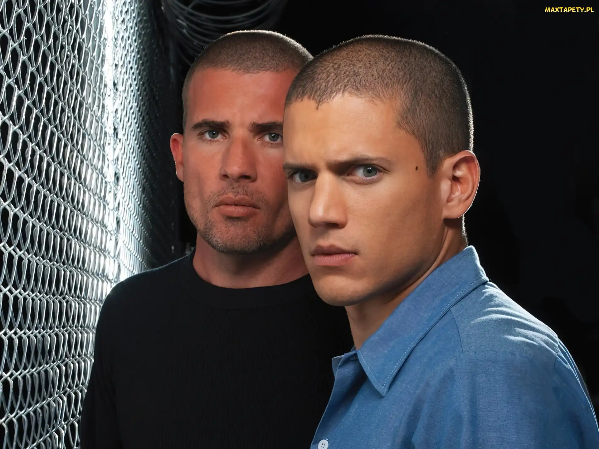 Skazany na śmierć, Wentworth Miller, Dominic Purcell, Bracia, Prison Break