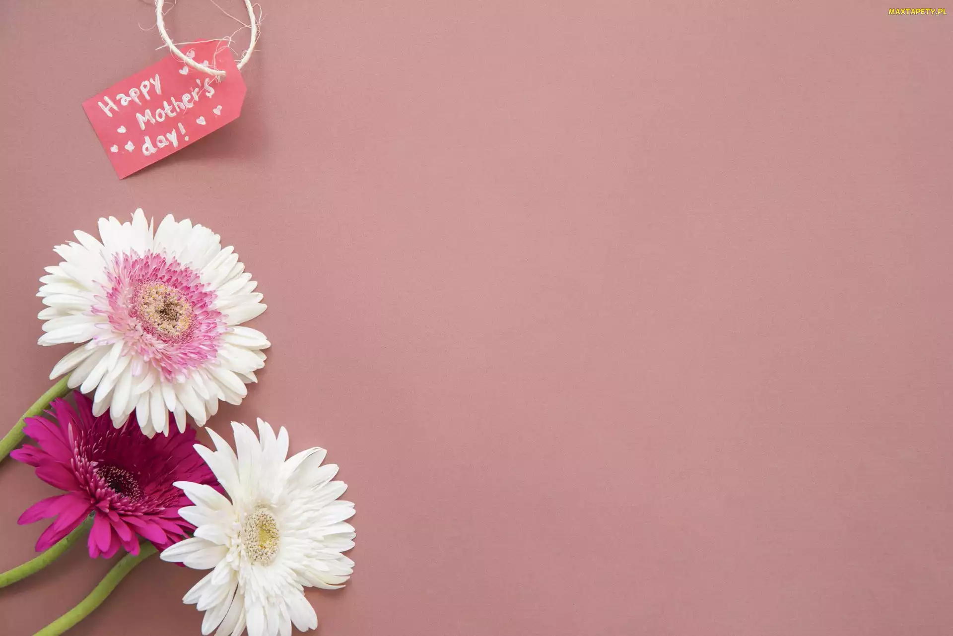 Napis, Zawieszka, Kwiaty, Happy Mothers Day, Gerbery, Dzień Matki, Kolorowe