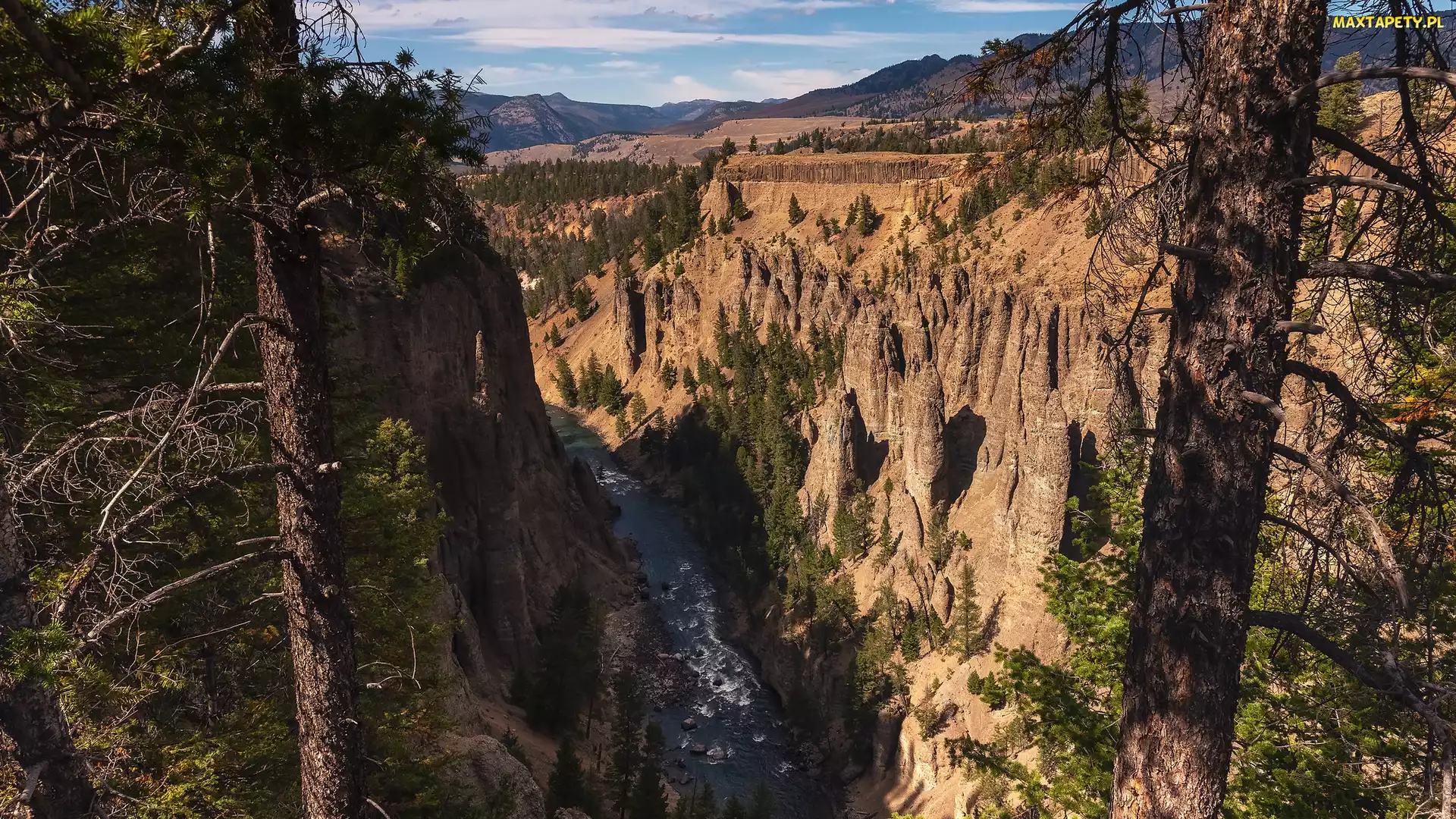 Stany Zjednoczone, Canyon Village, Wielki Kanion Yellowstone, Wyoming, Rzeka, Skały, Yellowstone River, Drzewa, Góry, Park Narodowy Yellowstone