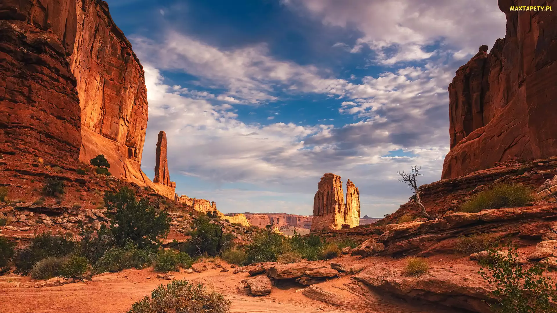 Utah, Park Narodowy Arches, Skały, Stany Zjednoczone, Krzewy, Góry, Formacja Courthouse Towers
