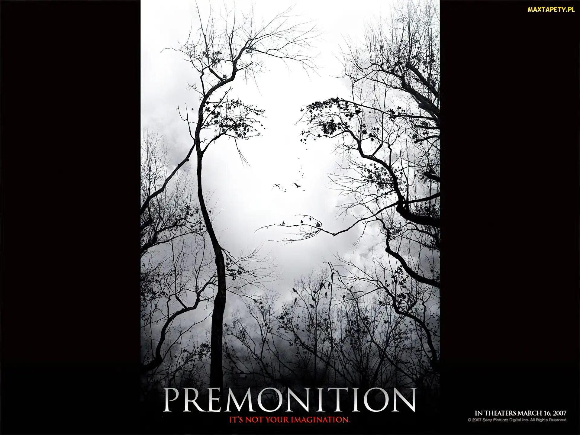 Premonition, twarz, gałęzie