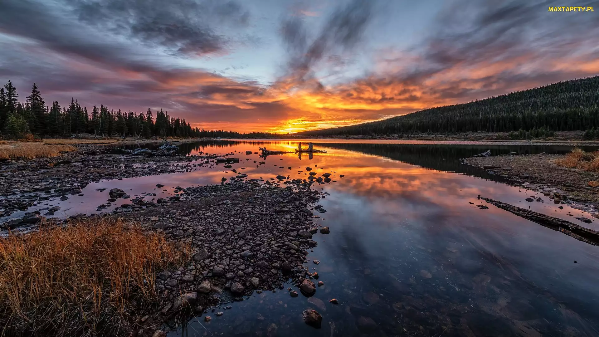 Kolorado, Brainard Lake, Drzewa, Stany Zjednoczone, Jezioro, Kamienie, Wschód słońca