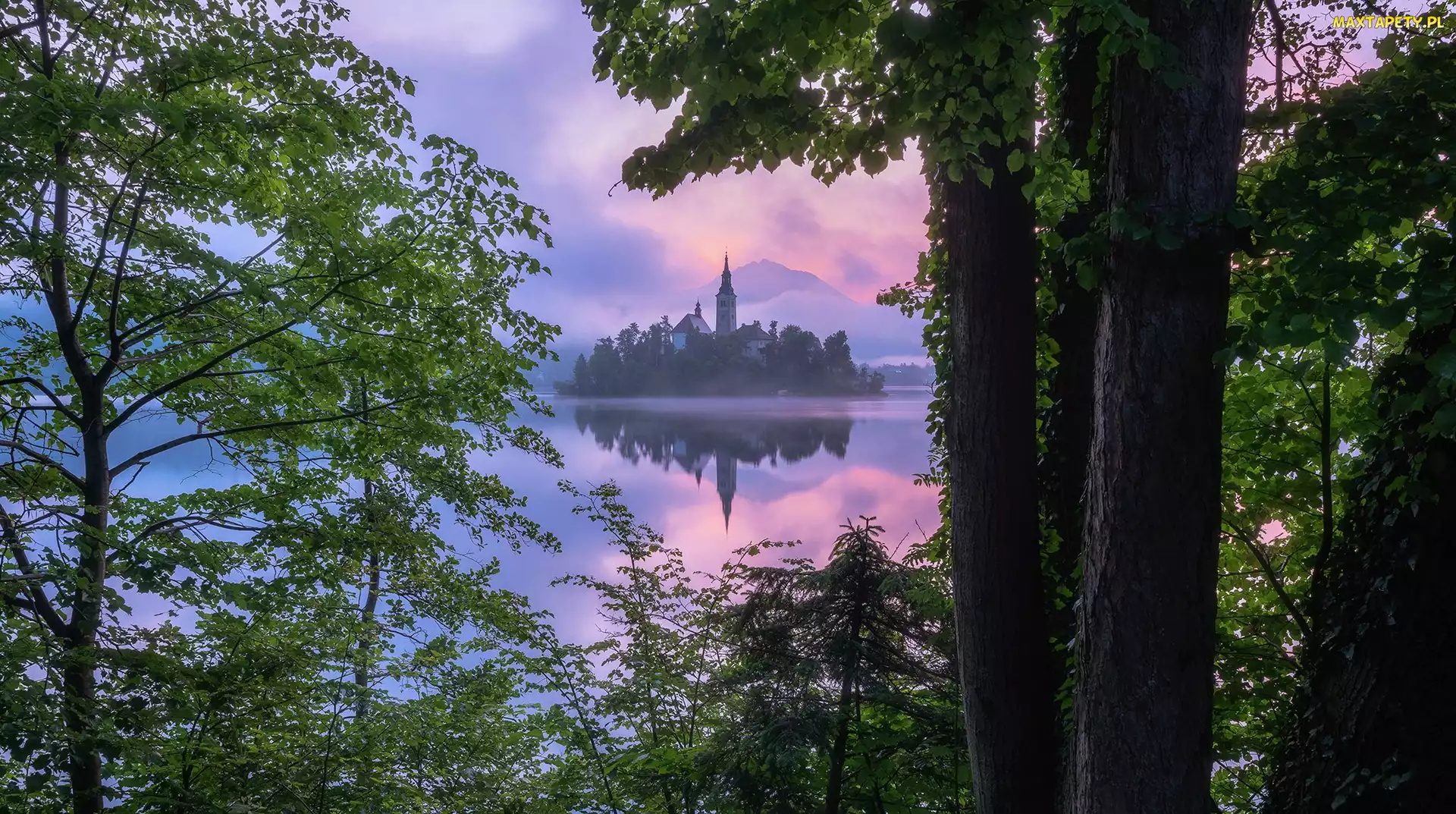 Drzewa, Kościół, Jezioro Bled, Słowenia, Wysepka, Blejski Otok