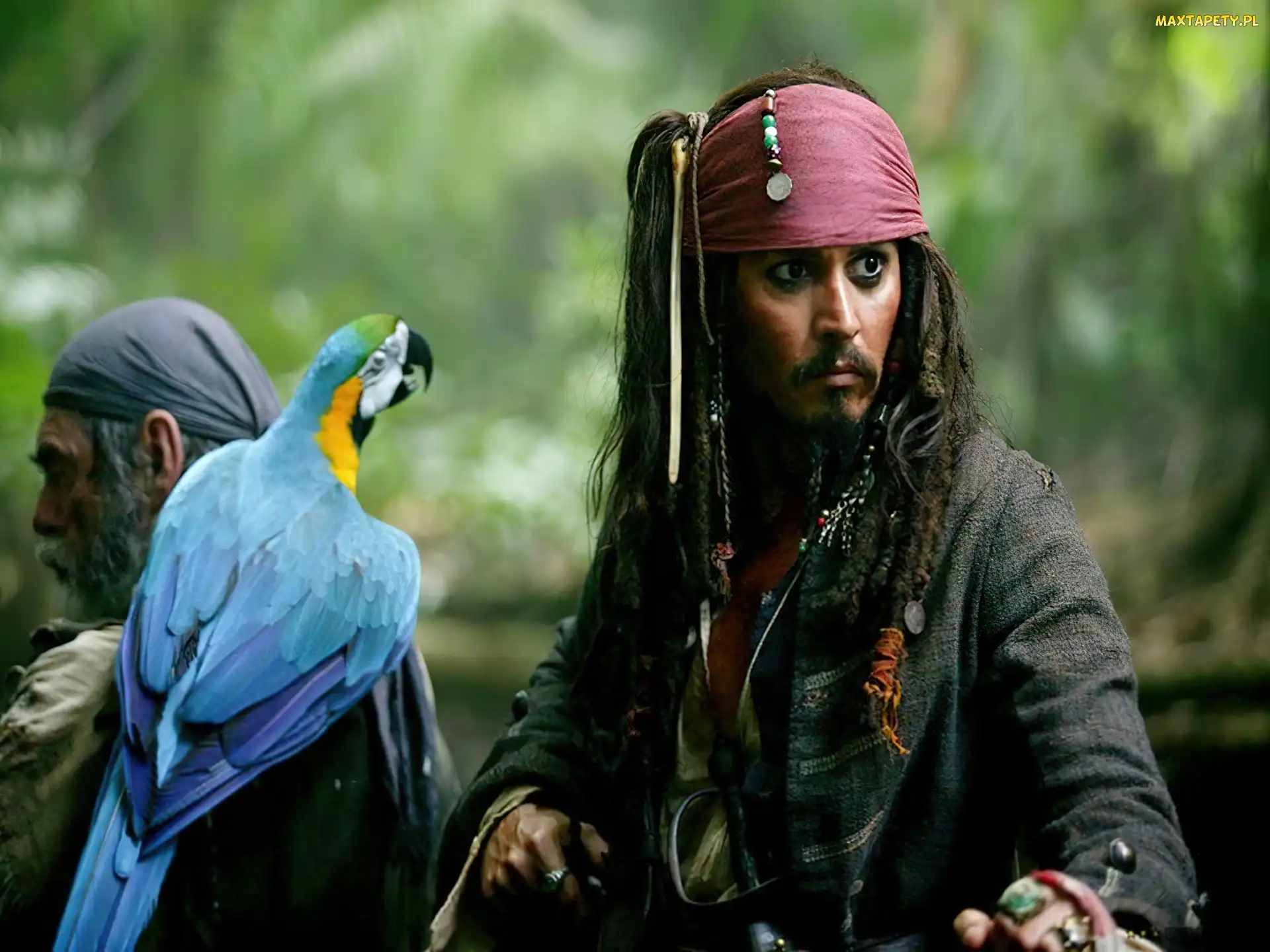 Johnny Depp, papuga, piraci_z_karaibow_2