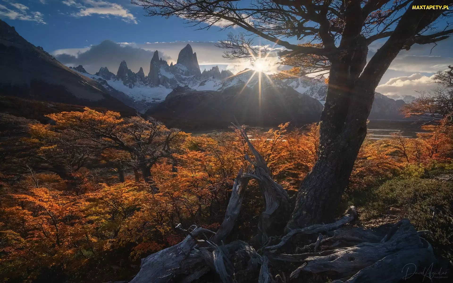 Park Narodowy Los Glaciares, Szczyt, Góry, Fitz Roy, Góry, Patagonia, Promienie słońca, Drzewa, Argentyna, Jesień